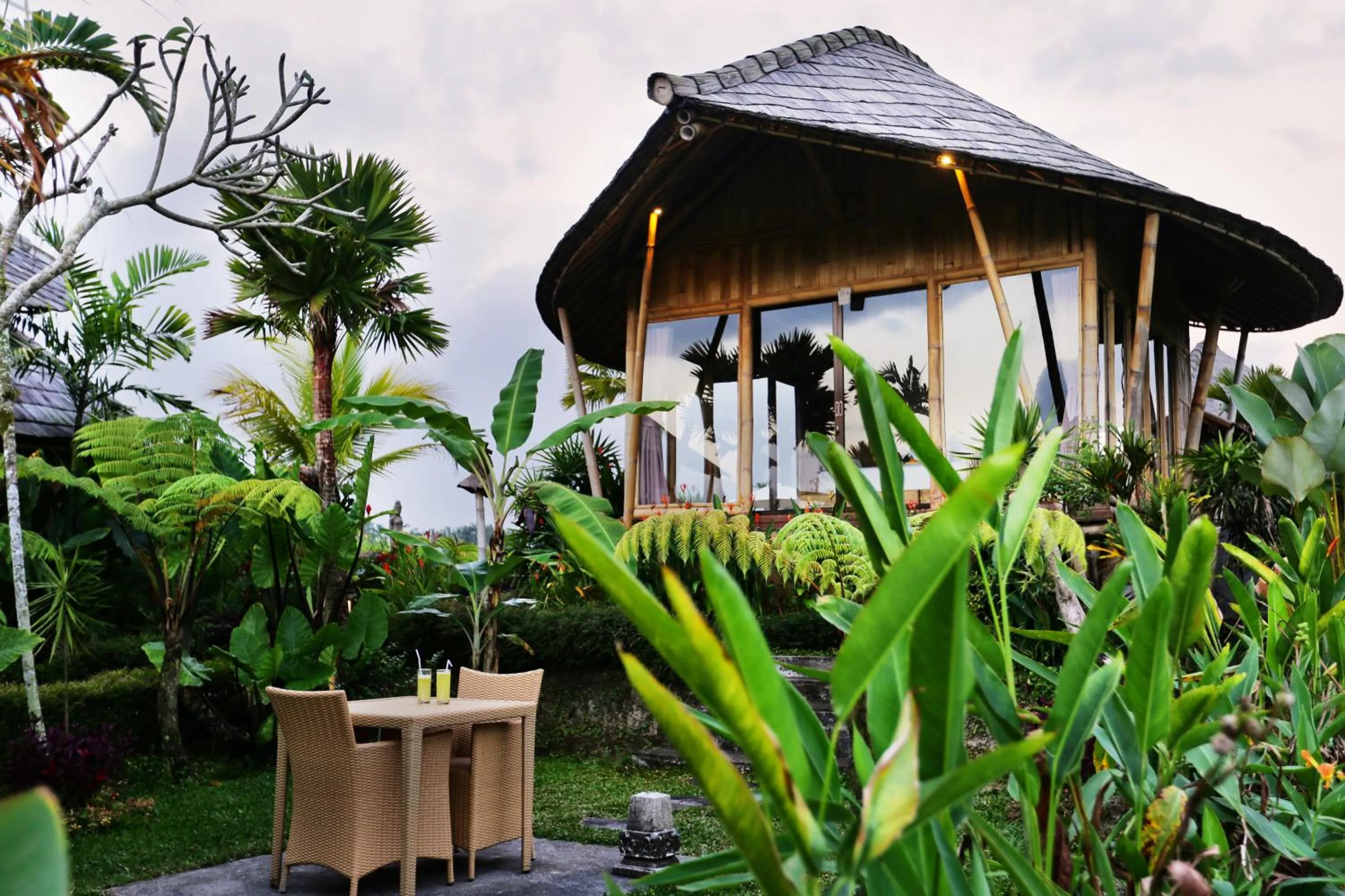 Garden in Padi Bali Retreat