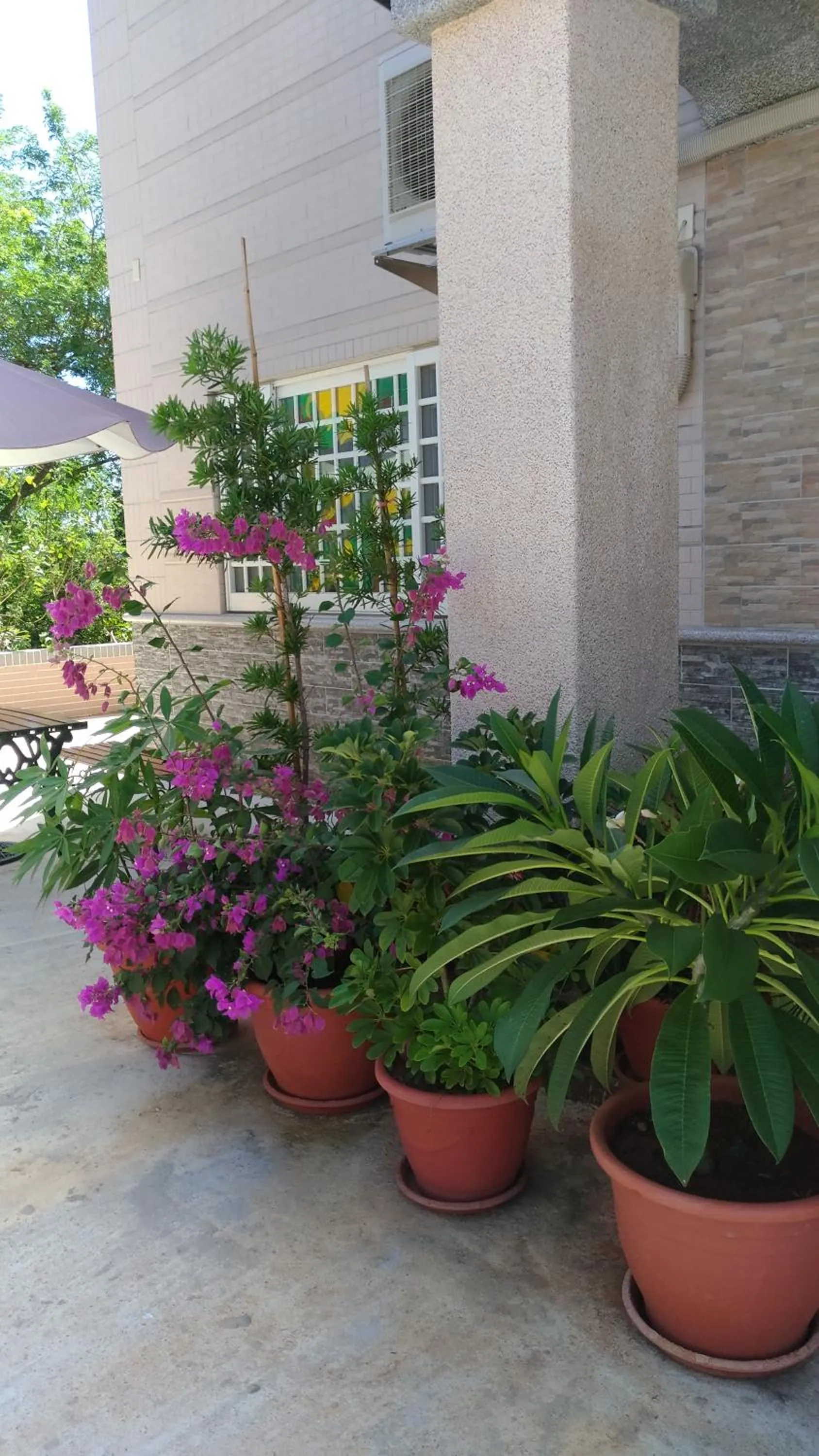 Neighbourhood in Jin Xi Fu B&B