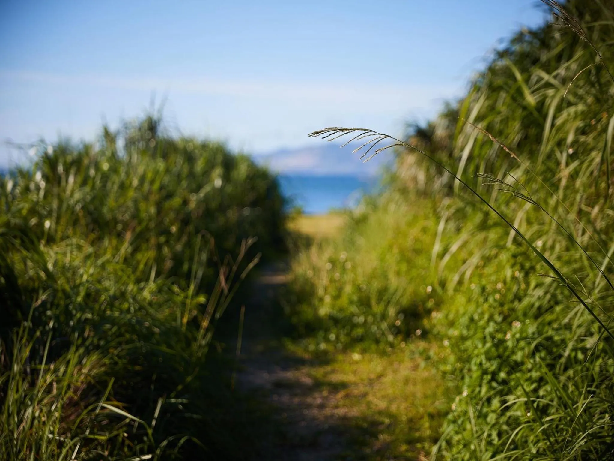 Natural landscape in La Casa Panacea Okinawa Resort