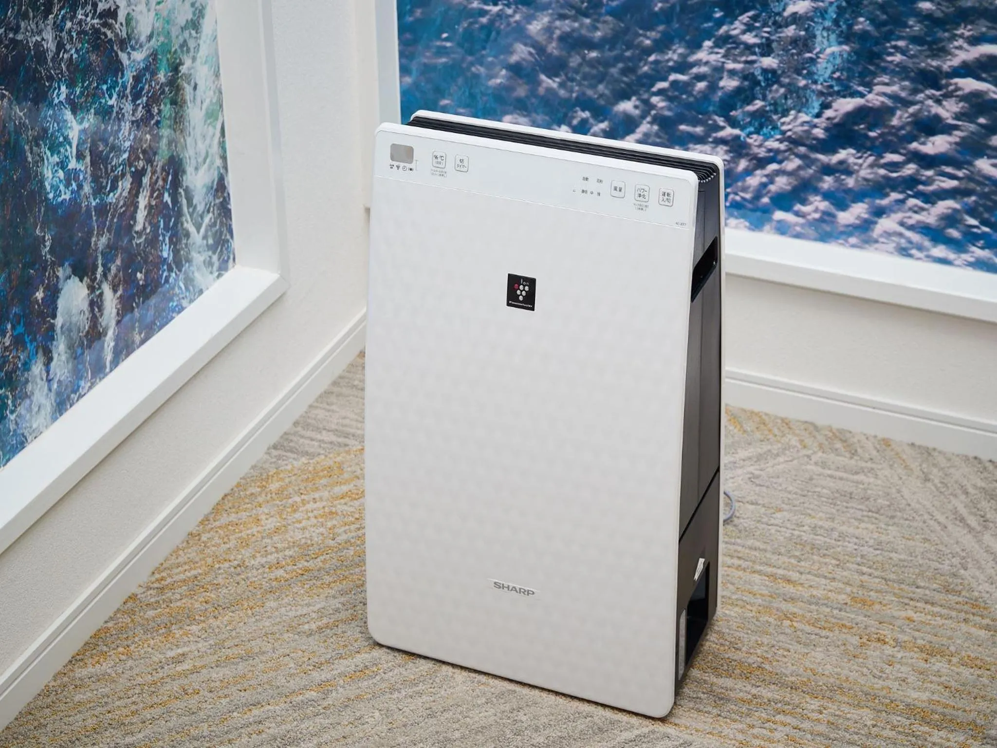 Photo of the whole room in La Casa Panacea Okinawa Resort