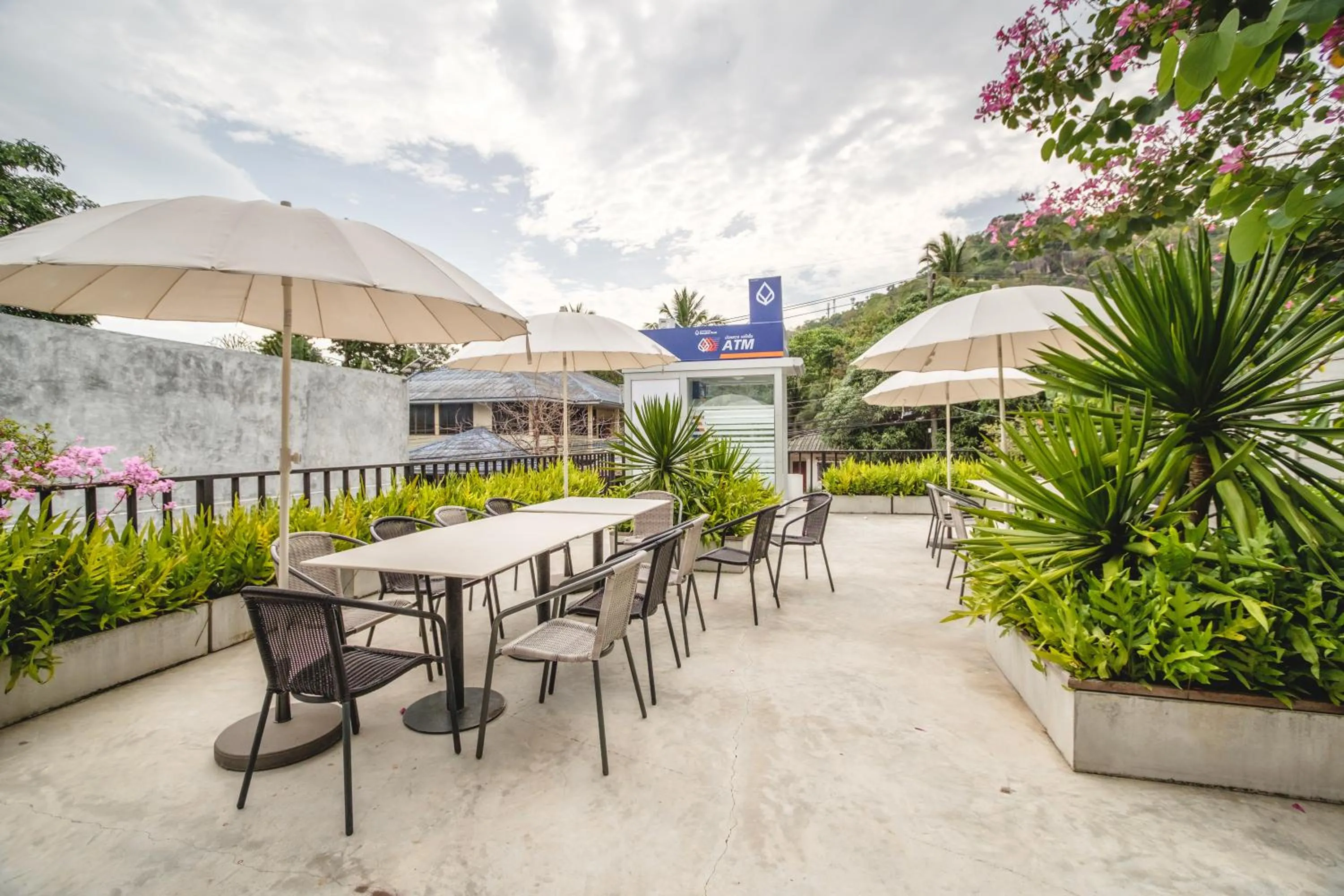 Restaurant/places to eat in The Dearly Koh Tao Hostel-PADI 5 Star Dive Resort