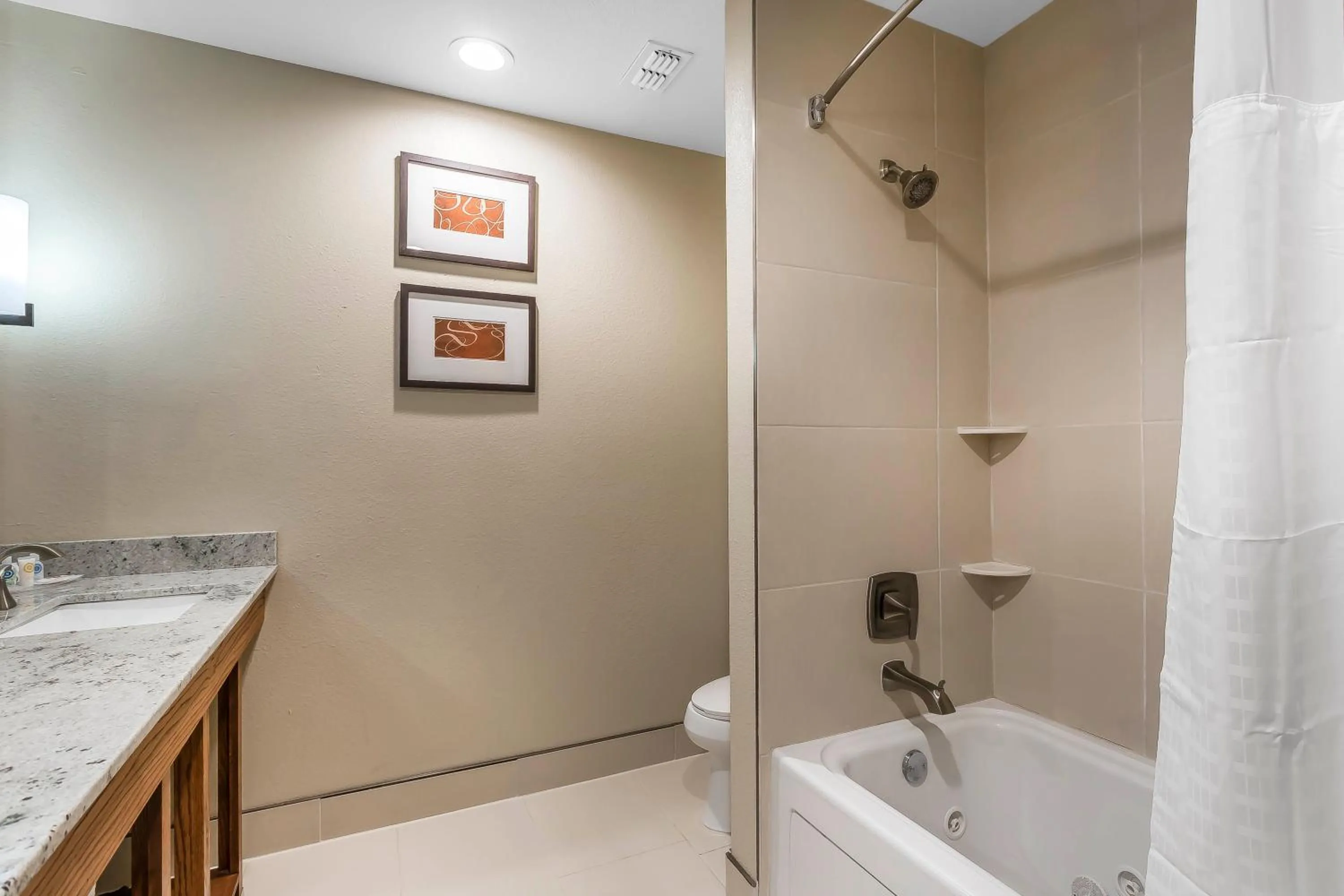 Comfort Suites - University