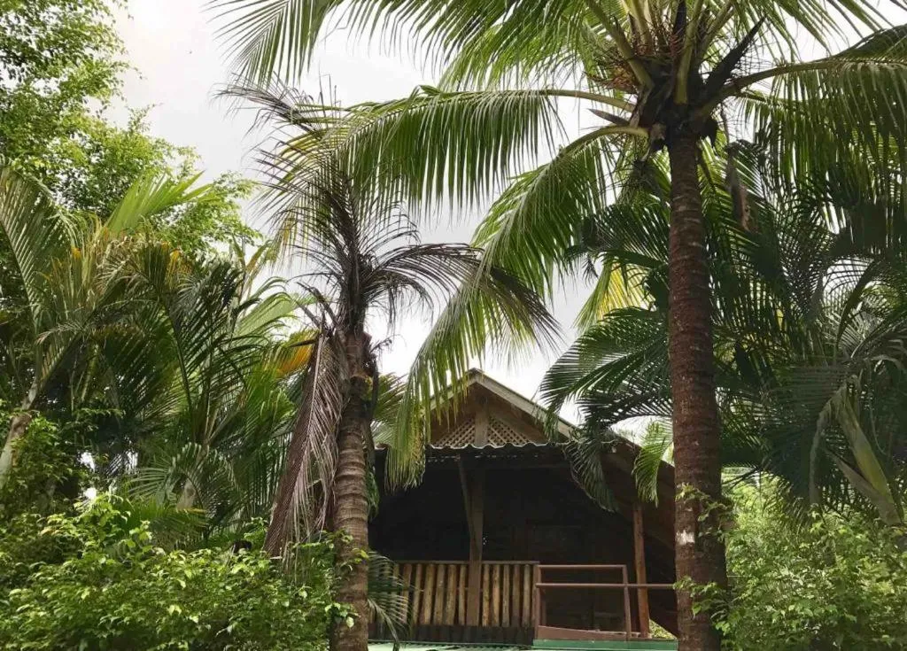 Property building in Beach Cabinas