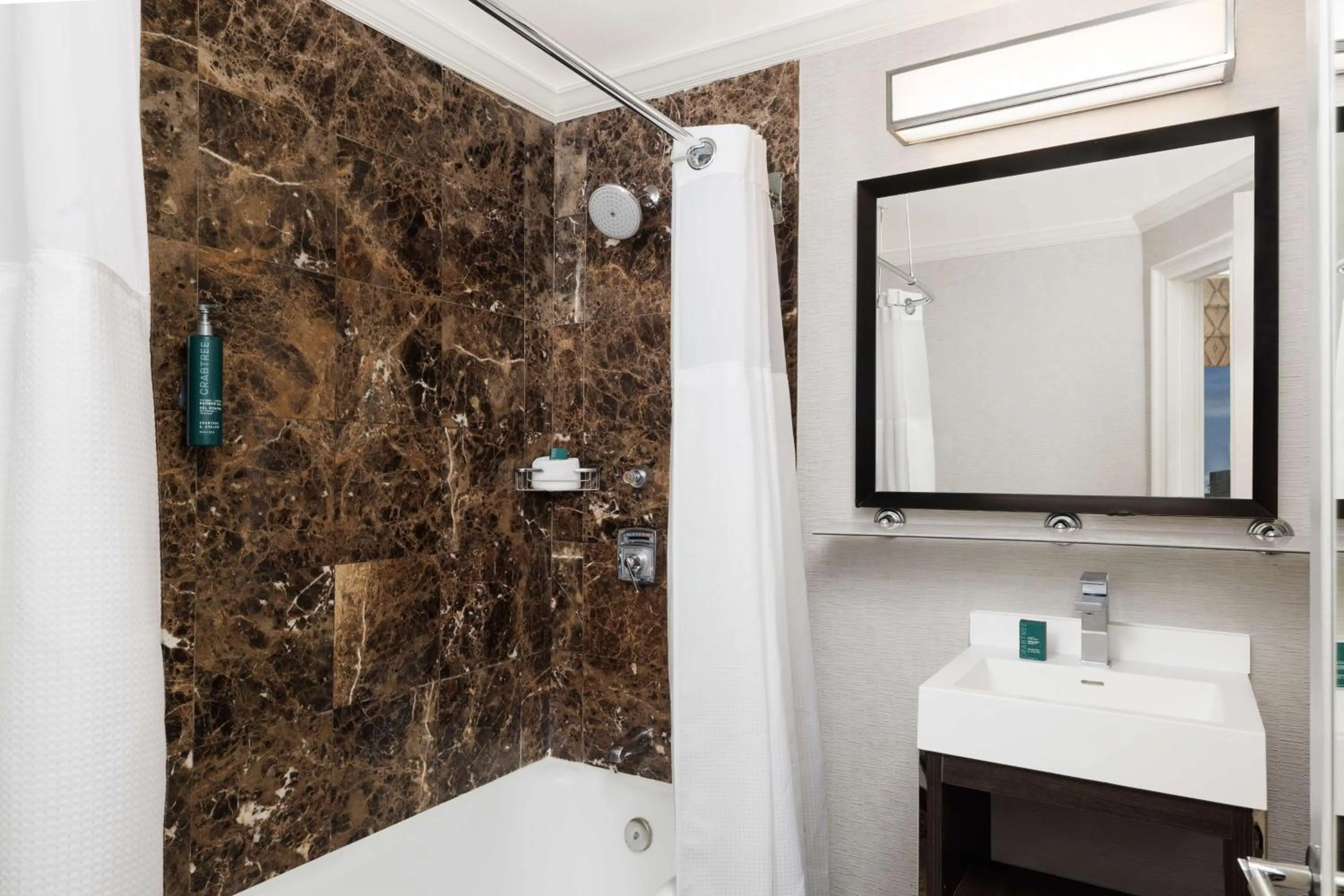 Bathroom in Hilton Boston Park Plaza