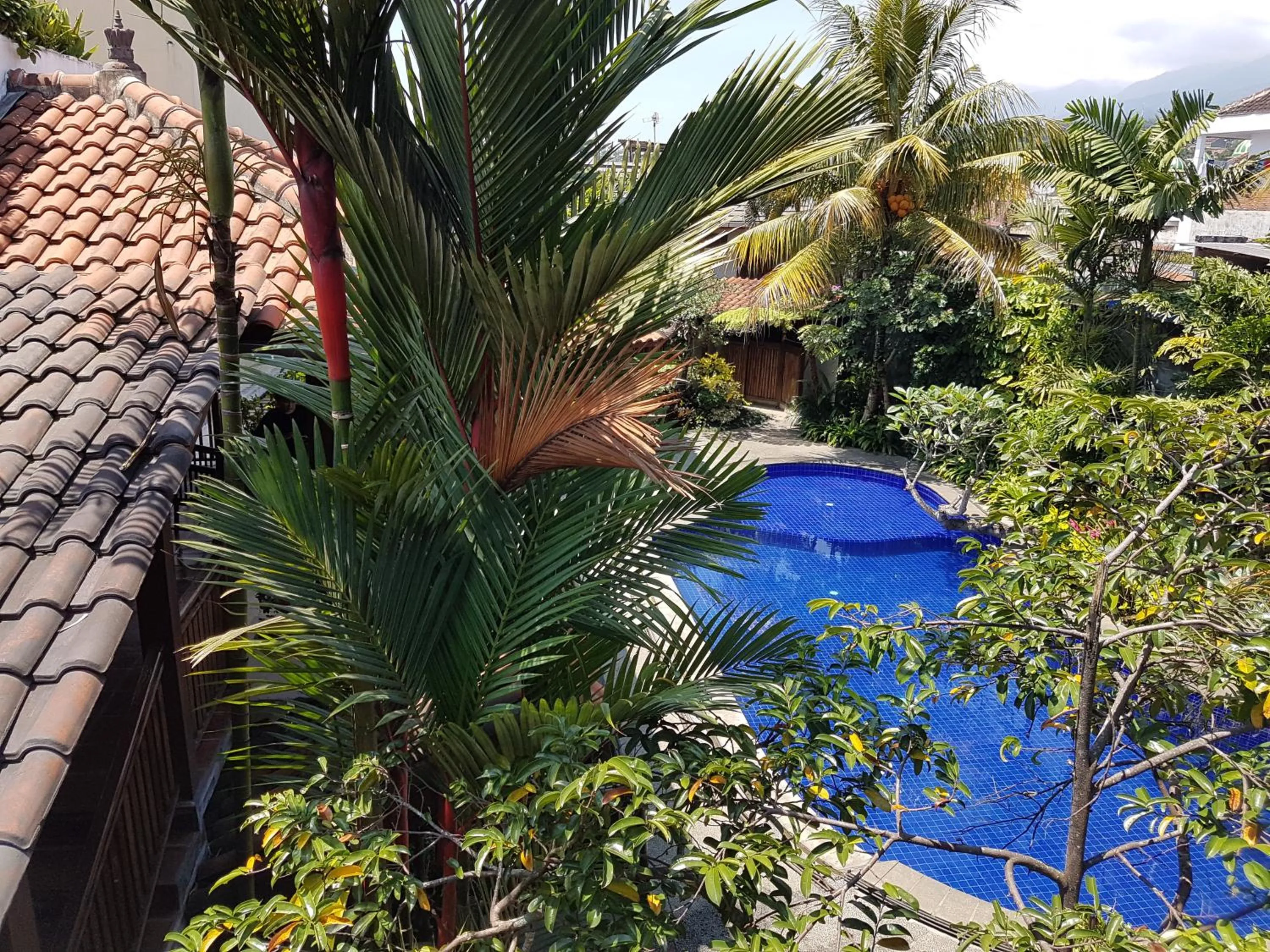 Pool view in Jos & Hanny Homestay