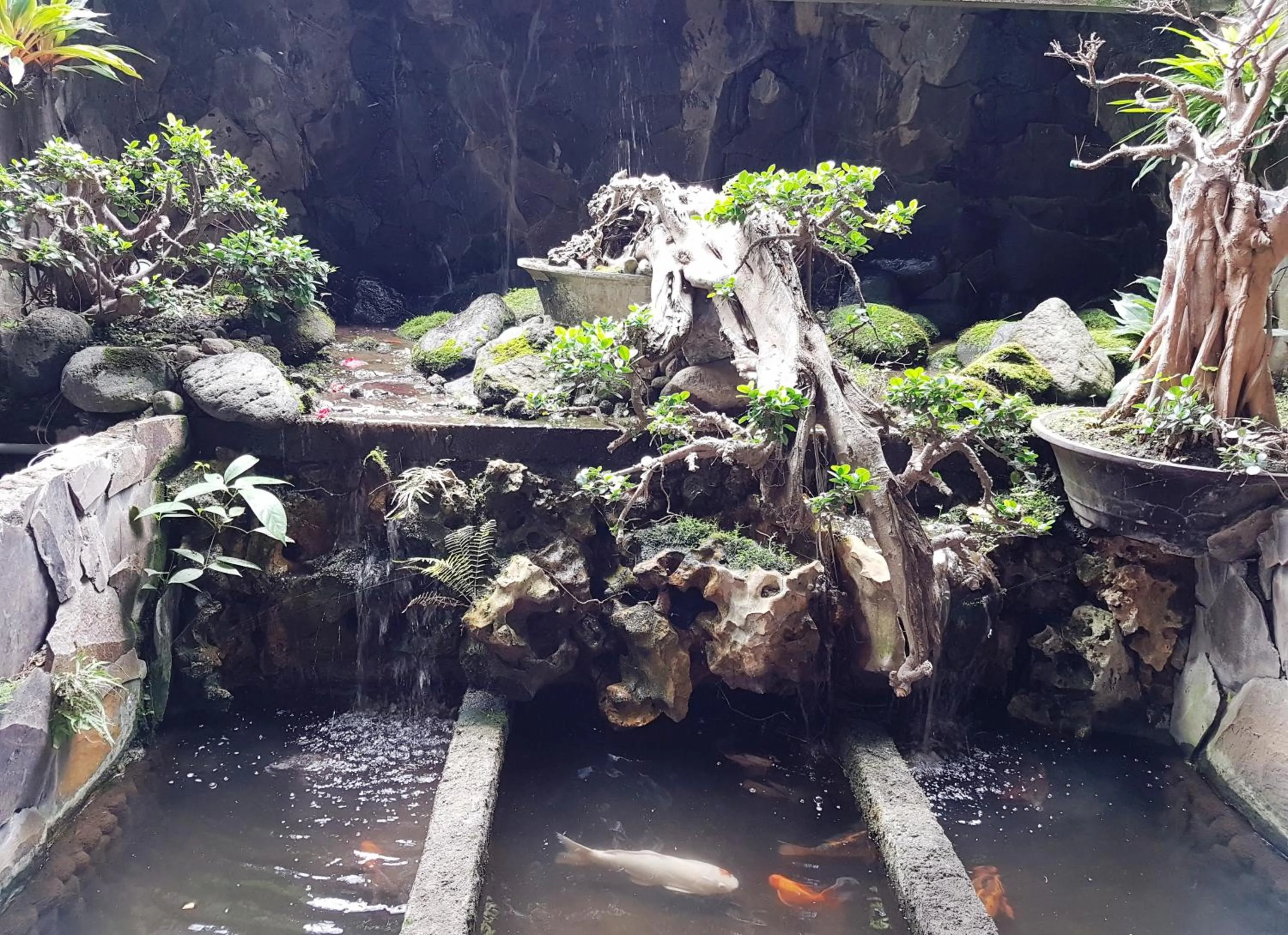 Garden in Jos & Hanny Homestay