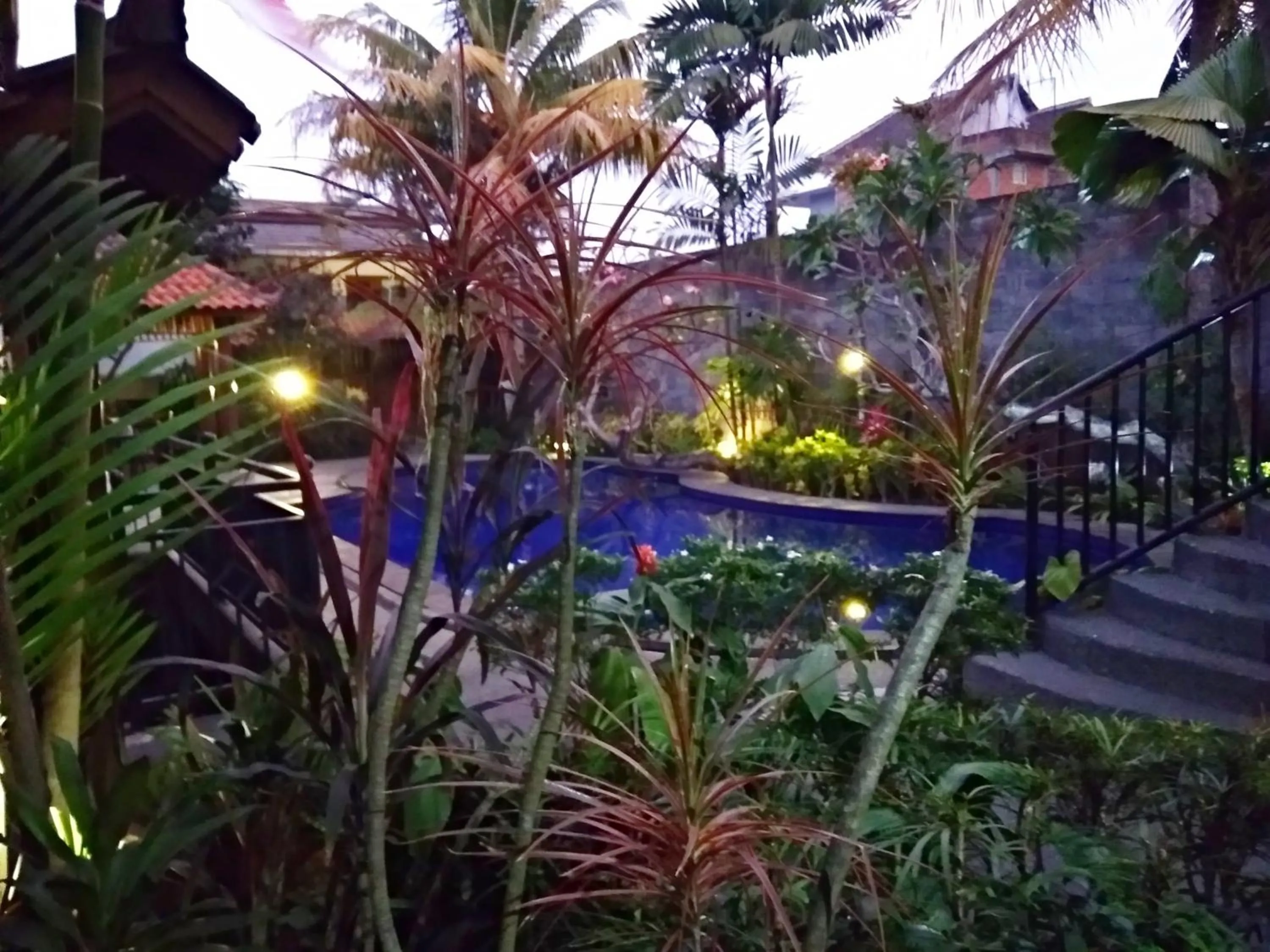 Swimming pool in Jos & Hanny Homestay