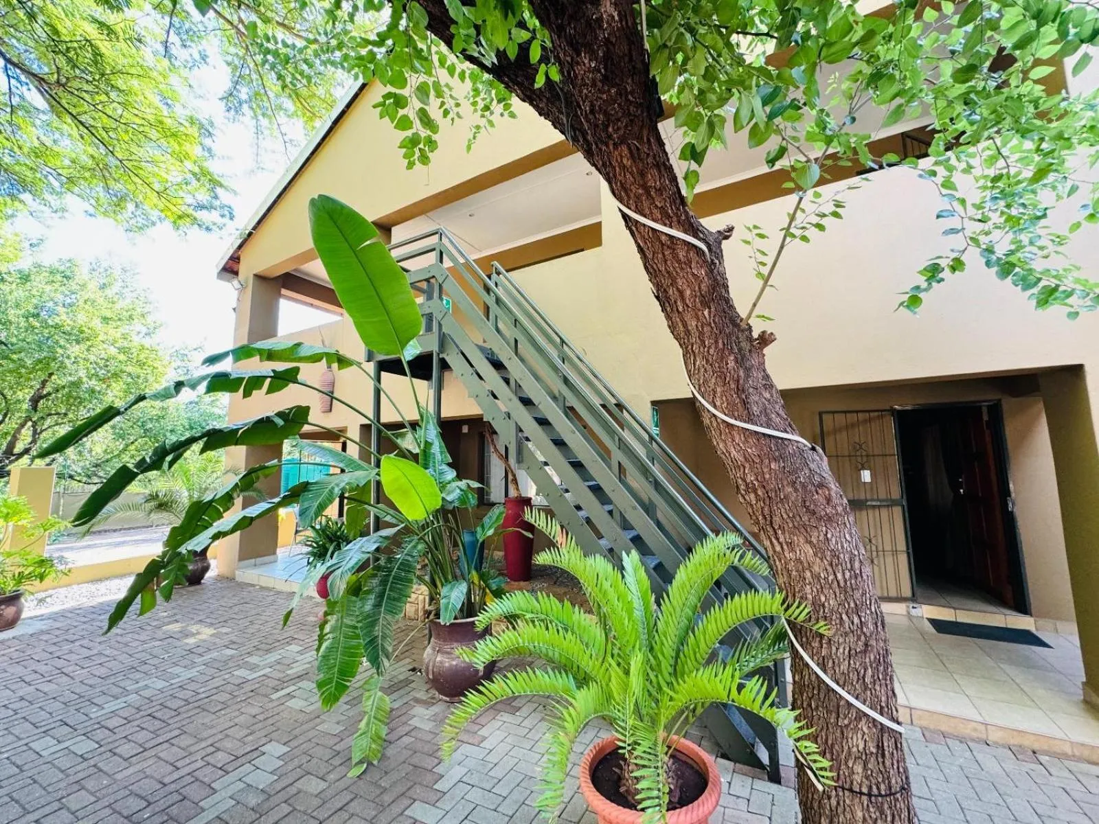 Property building in Echo Mountain Inn