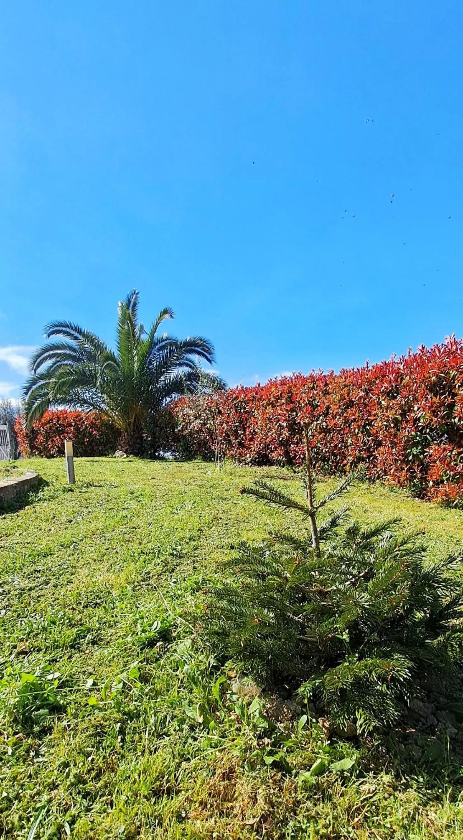 Natural landscape in La Bella Addormentata
