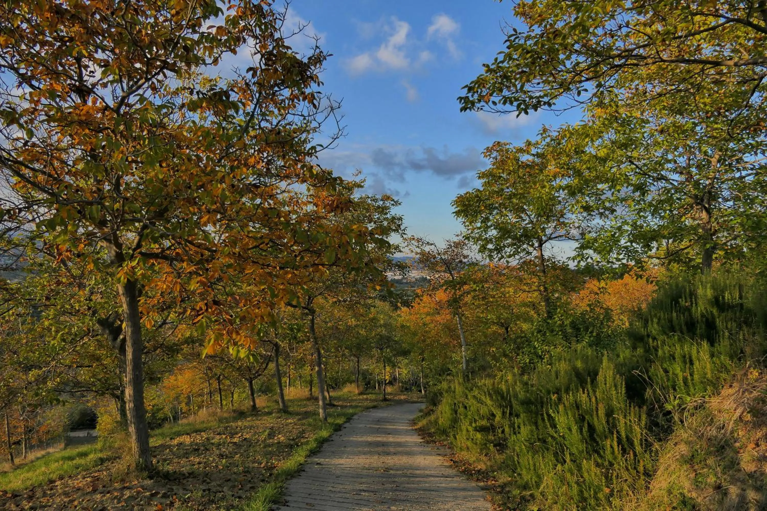 La Bella Addormentata