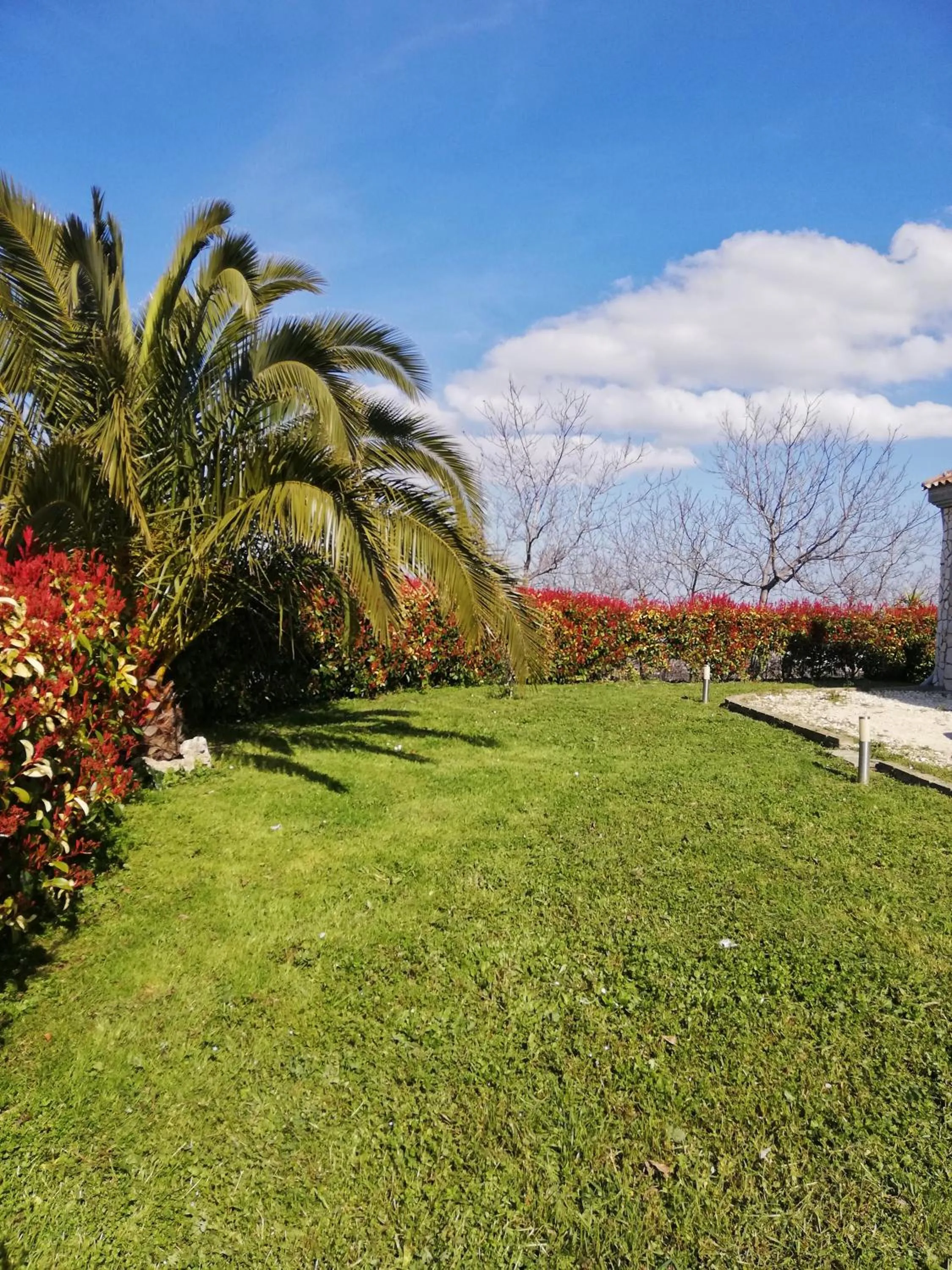 La Bella Addormentata