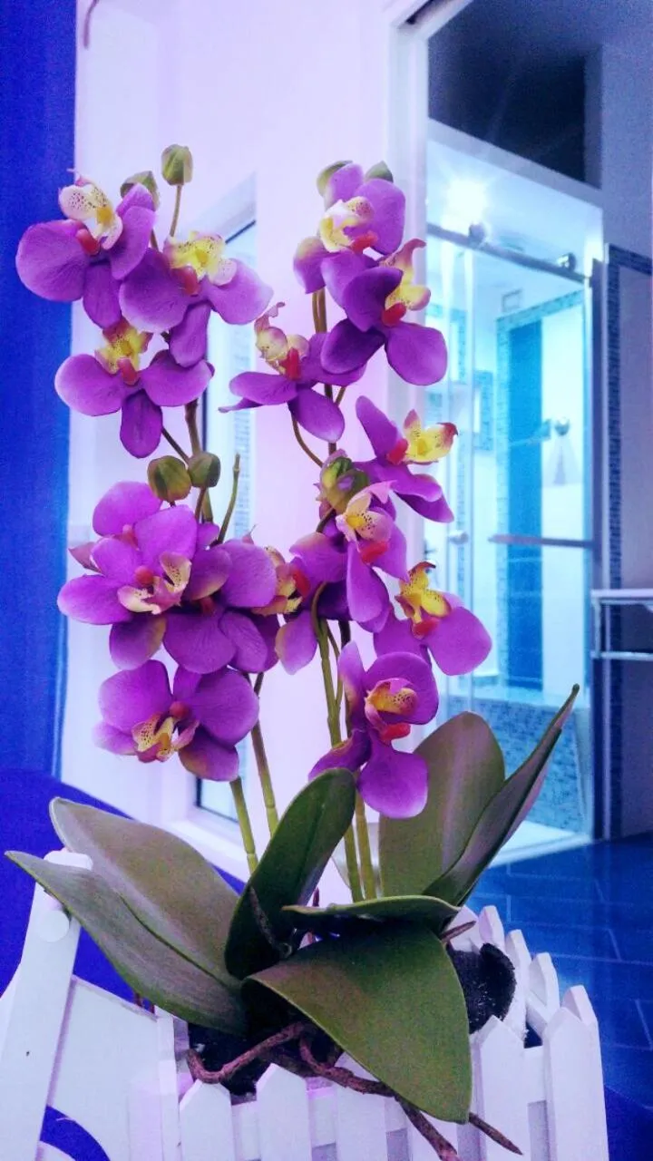 Decorative detail in MaLu' B&B