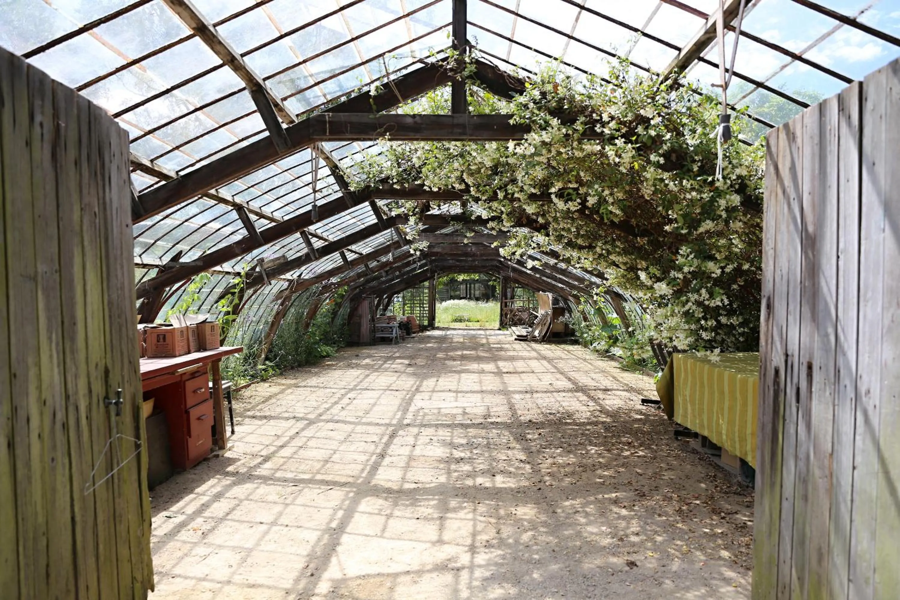 Garden in Le Jardin Des Sources