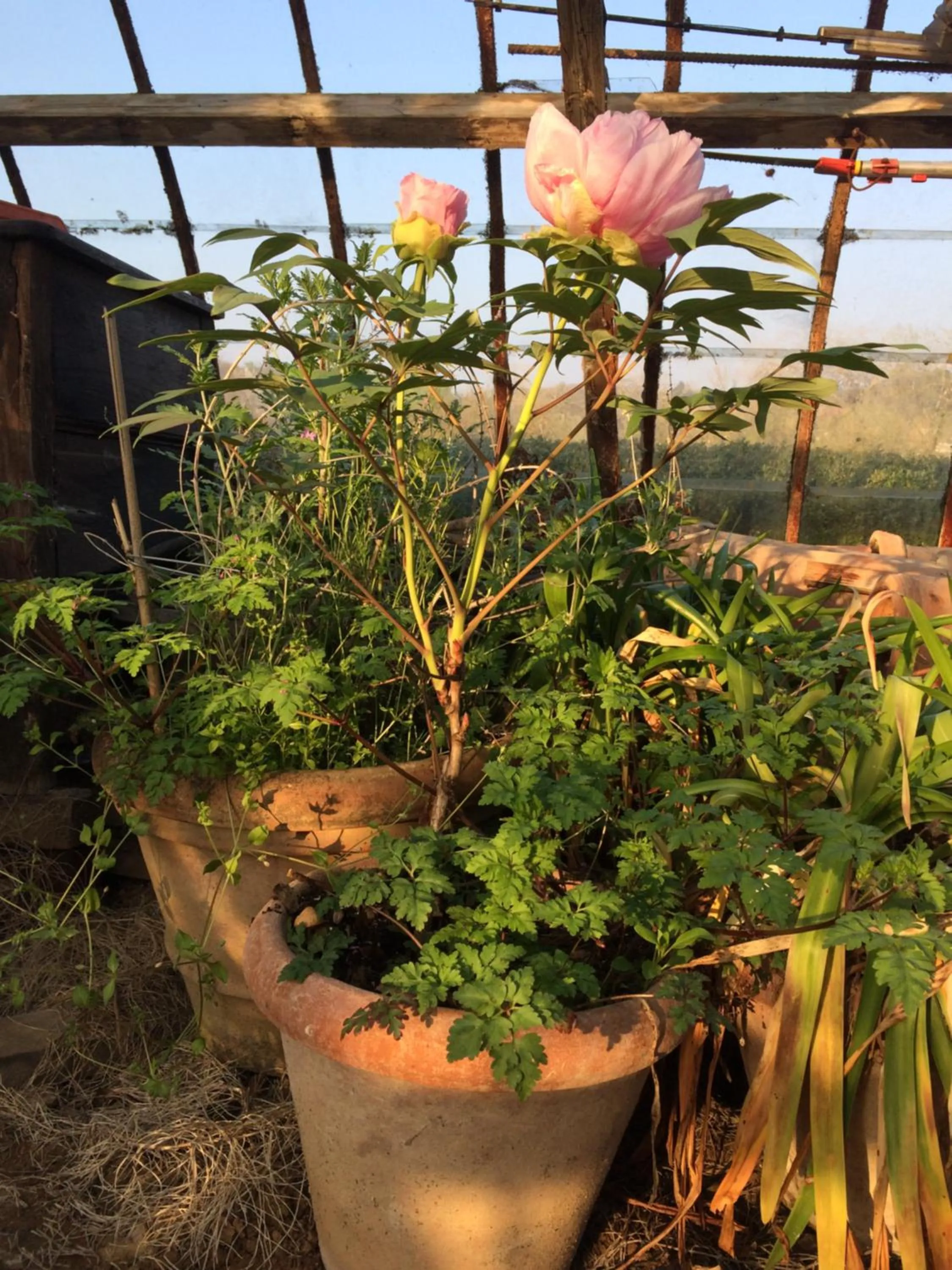Decorative detail in Le Jardin Des Sources