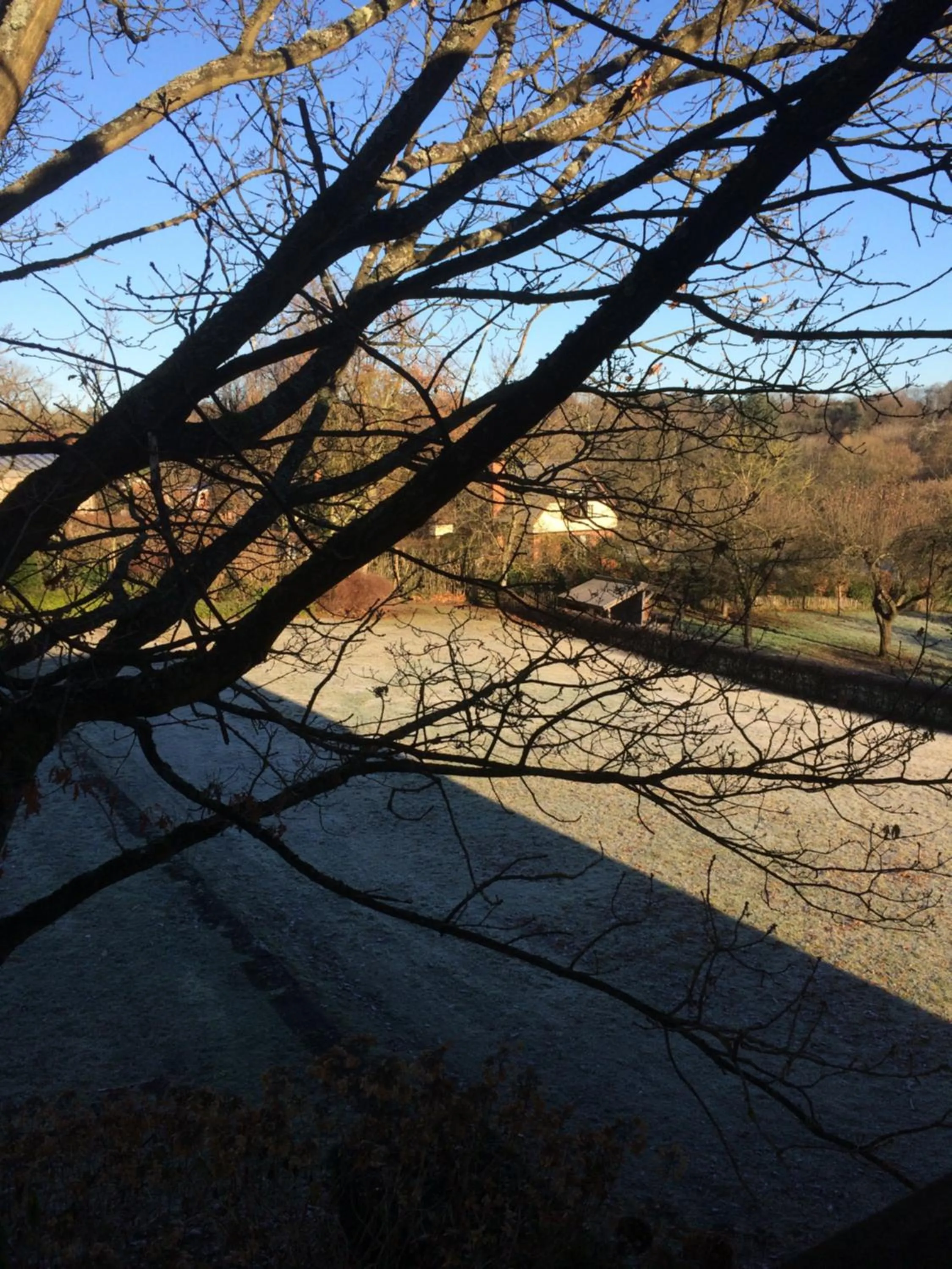 Garden view in Le Jardin Des Sources