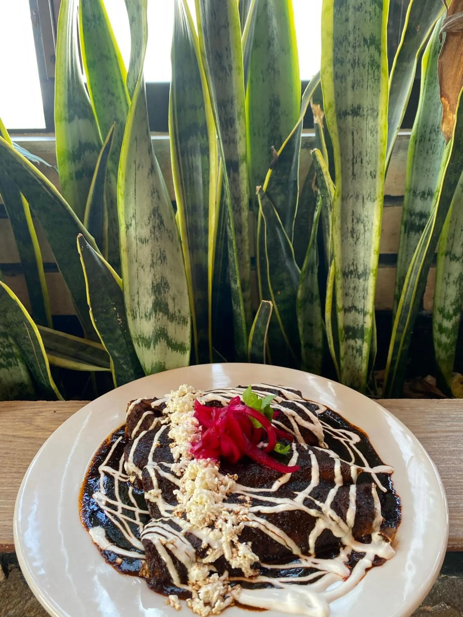 Restaurant/places to eat in Hotel & Suites Cerro Roj0