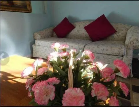 Calgary Star Cozy Home