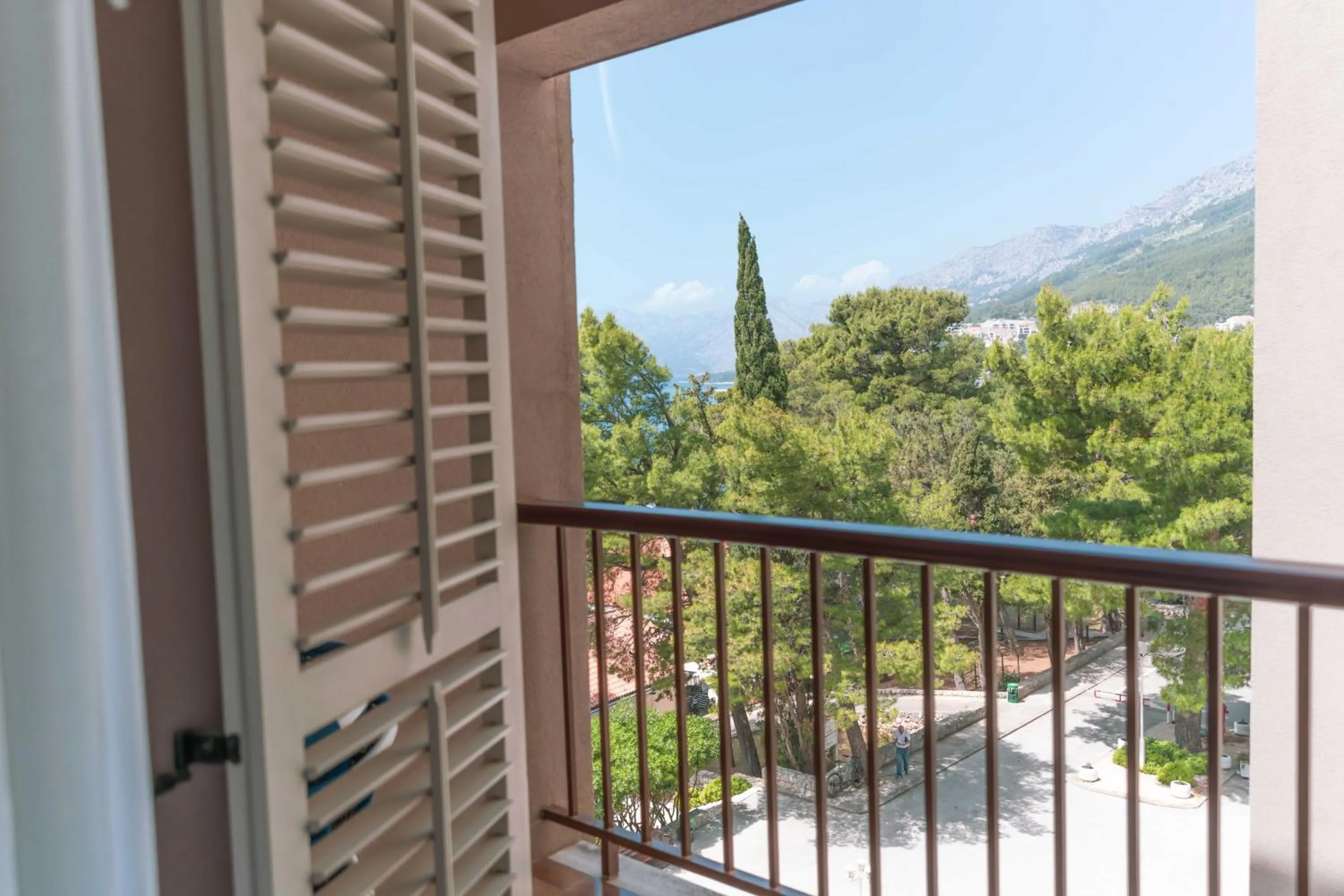 Standard Single Room with Mountain View in Hotel Horizont