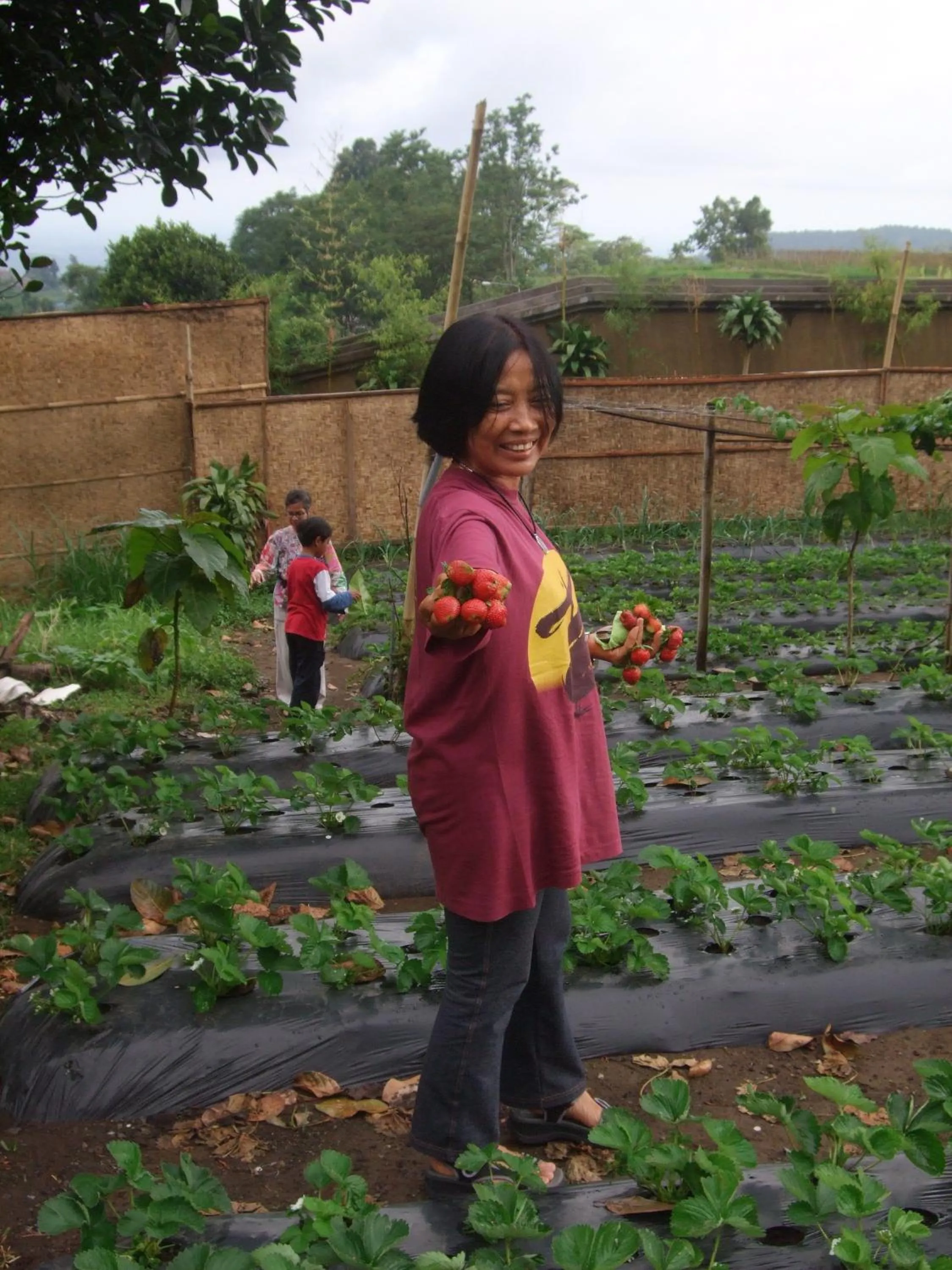 Garden view in Strawberry Hill Hotel & Restaurant