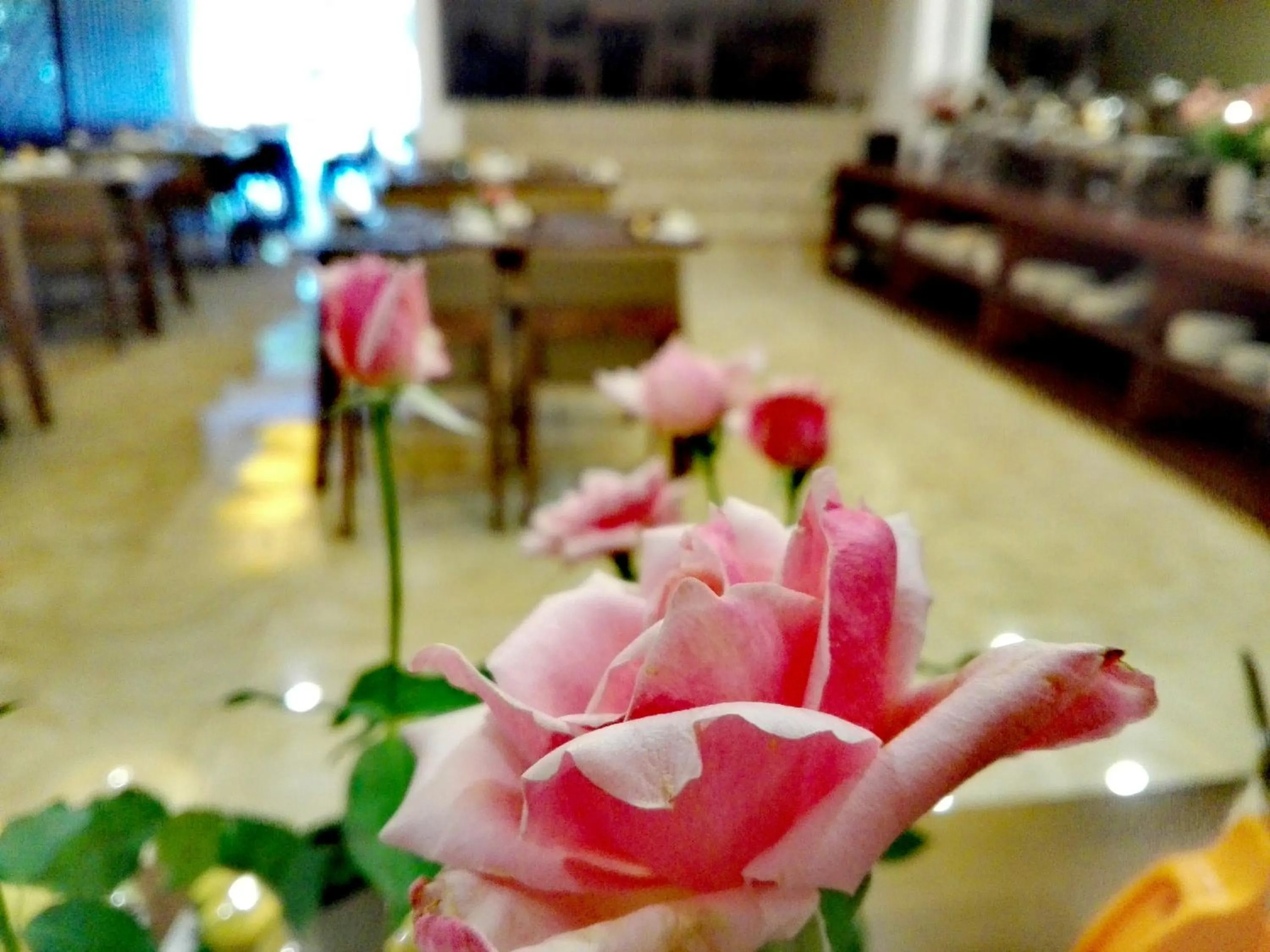 Restaurant/places to eat in Hanoi Pomihoa Hotel