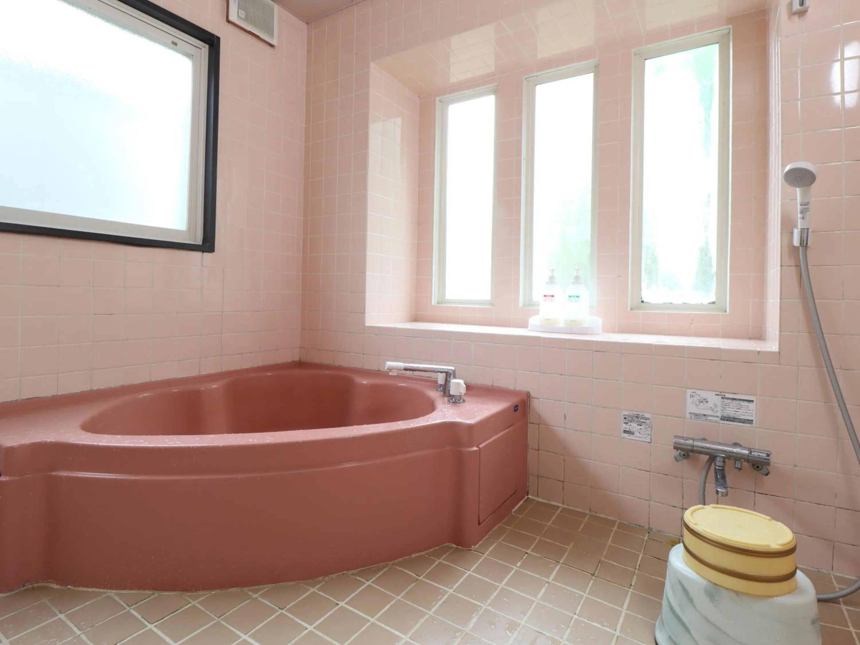 Bathroom in Shugyoku no Yu Yakushido Onsen