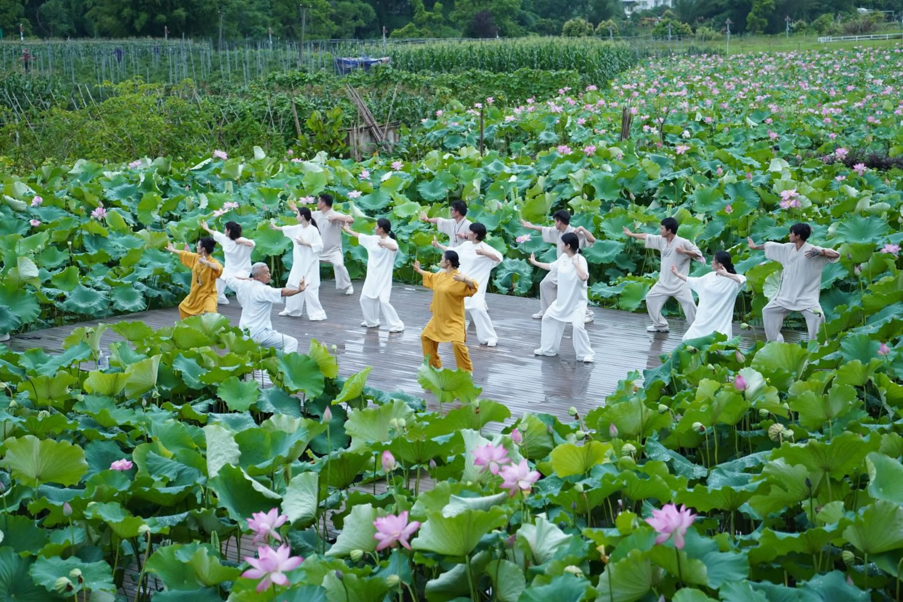 Garden in Yangshuo Zen Garden Resort - Rich Chinese traditional activities