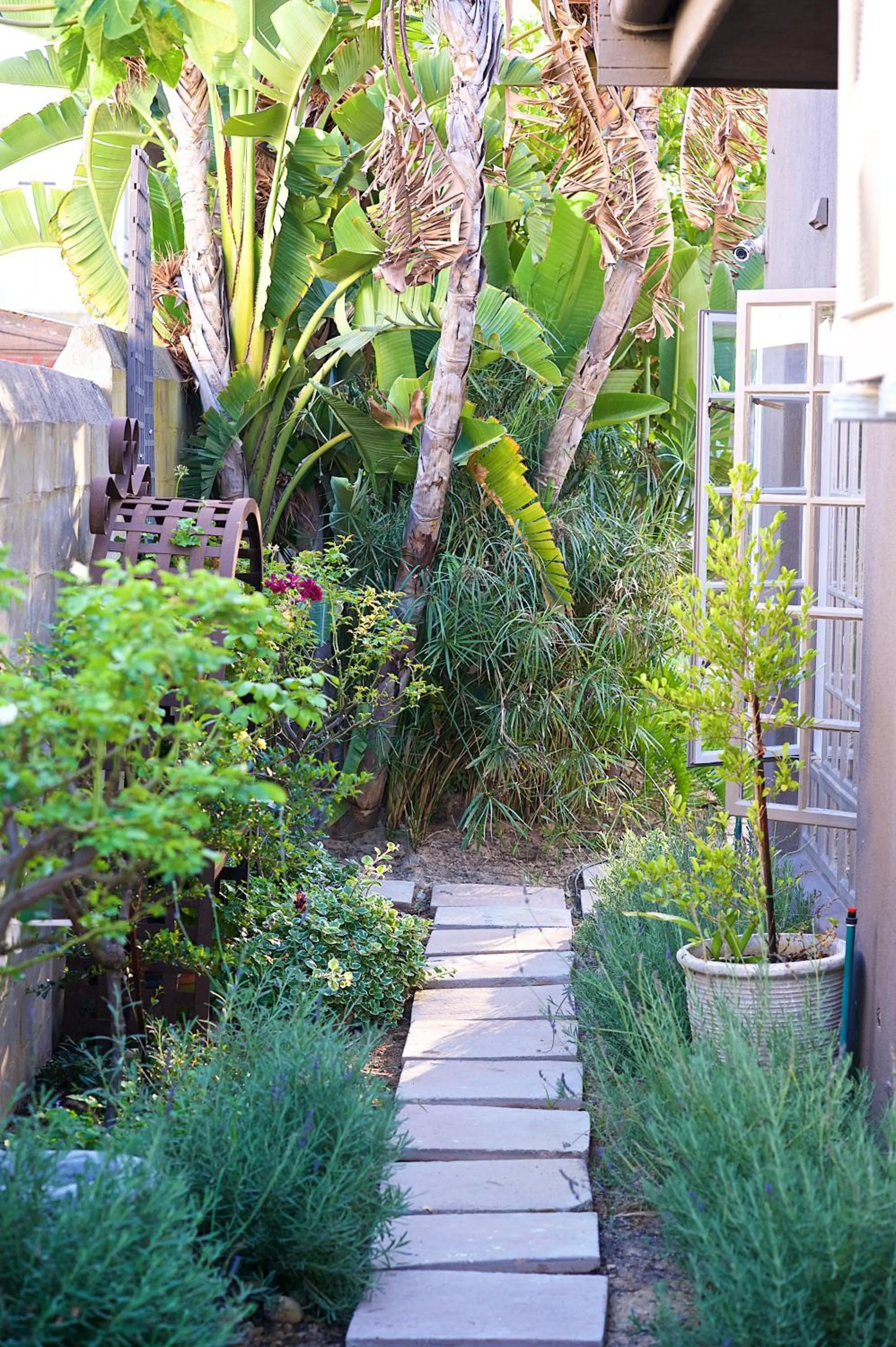 Garden in Baruch Guesthouse on Lovell