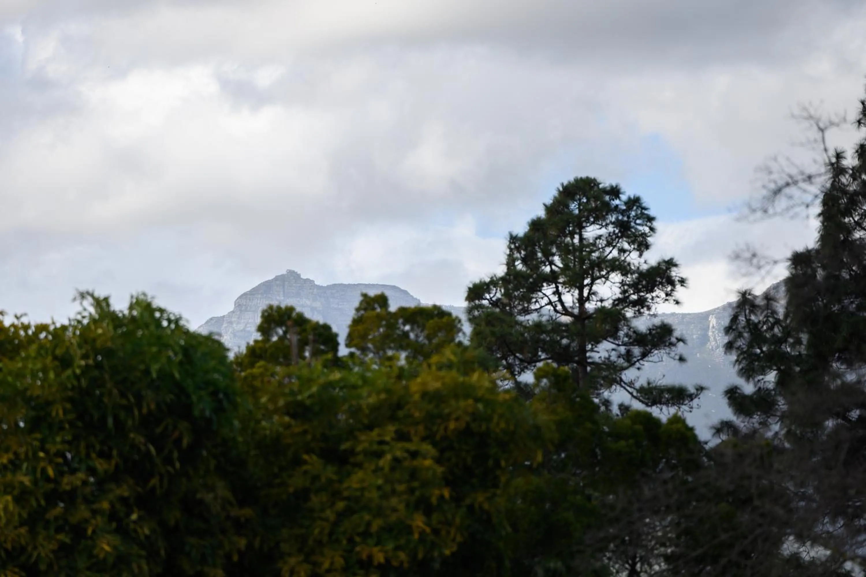 View (from property/room) in Baruch Guesthouse on Lovell