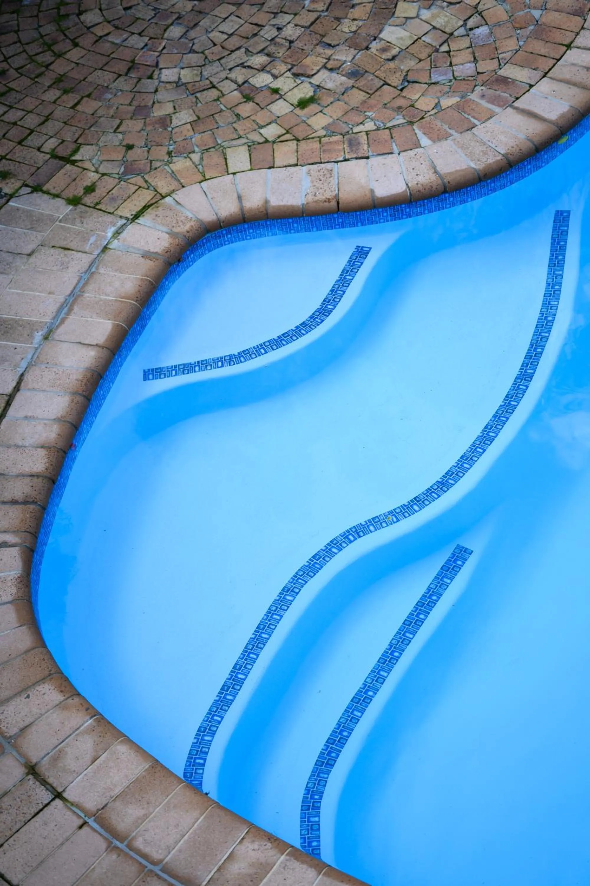 Pool view in Baruch Guesthouse on Lovell