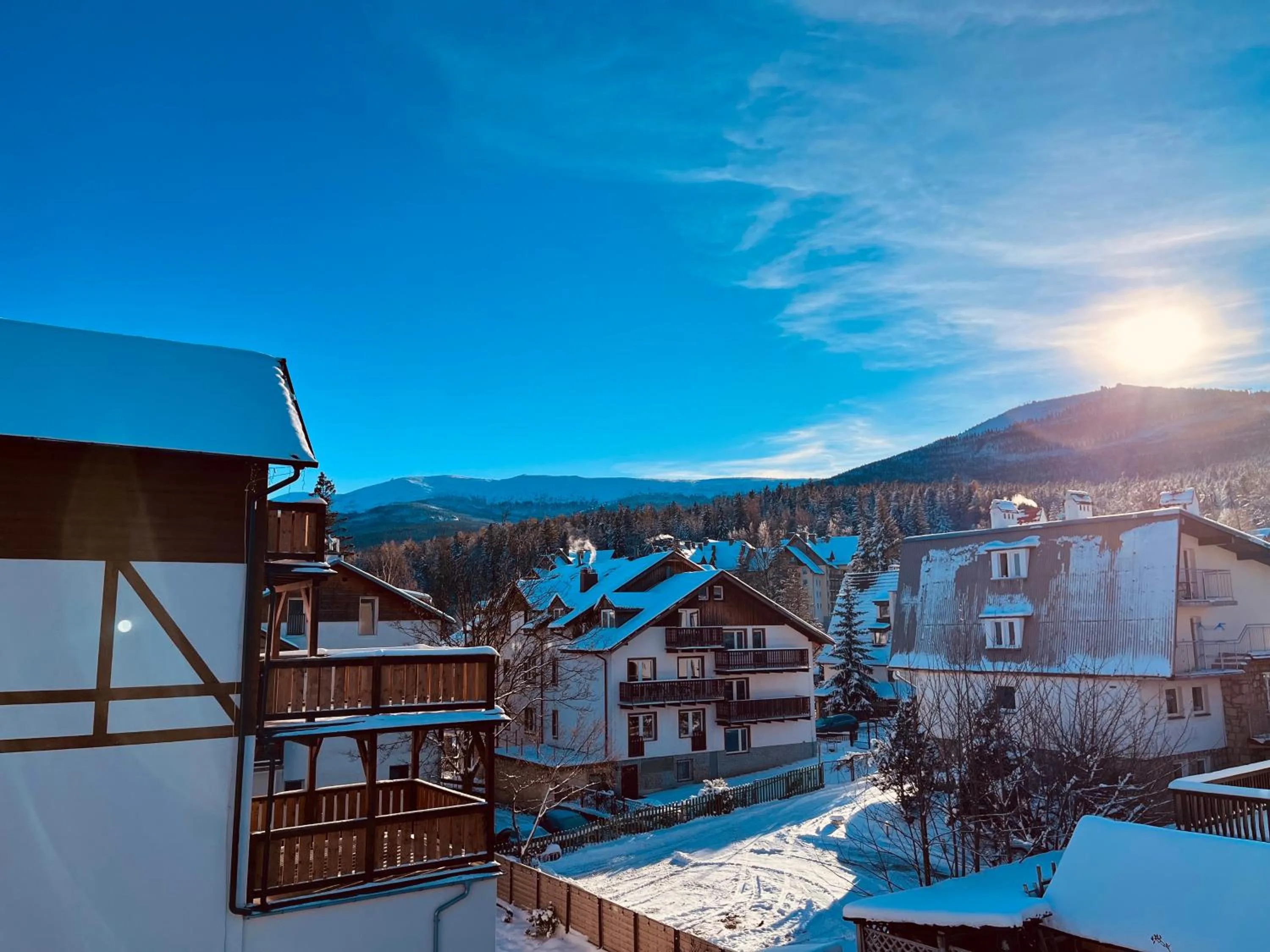 Winter in Willa Hektor