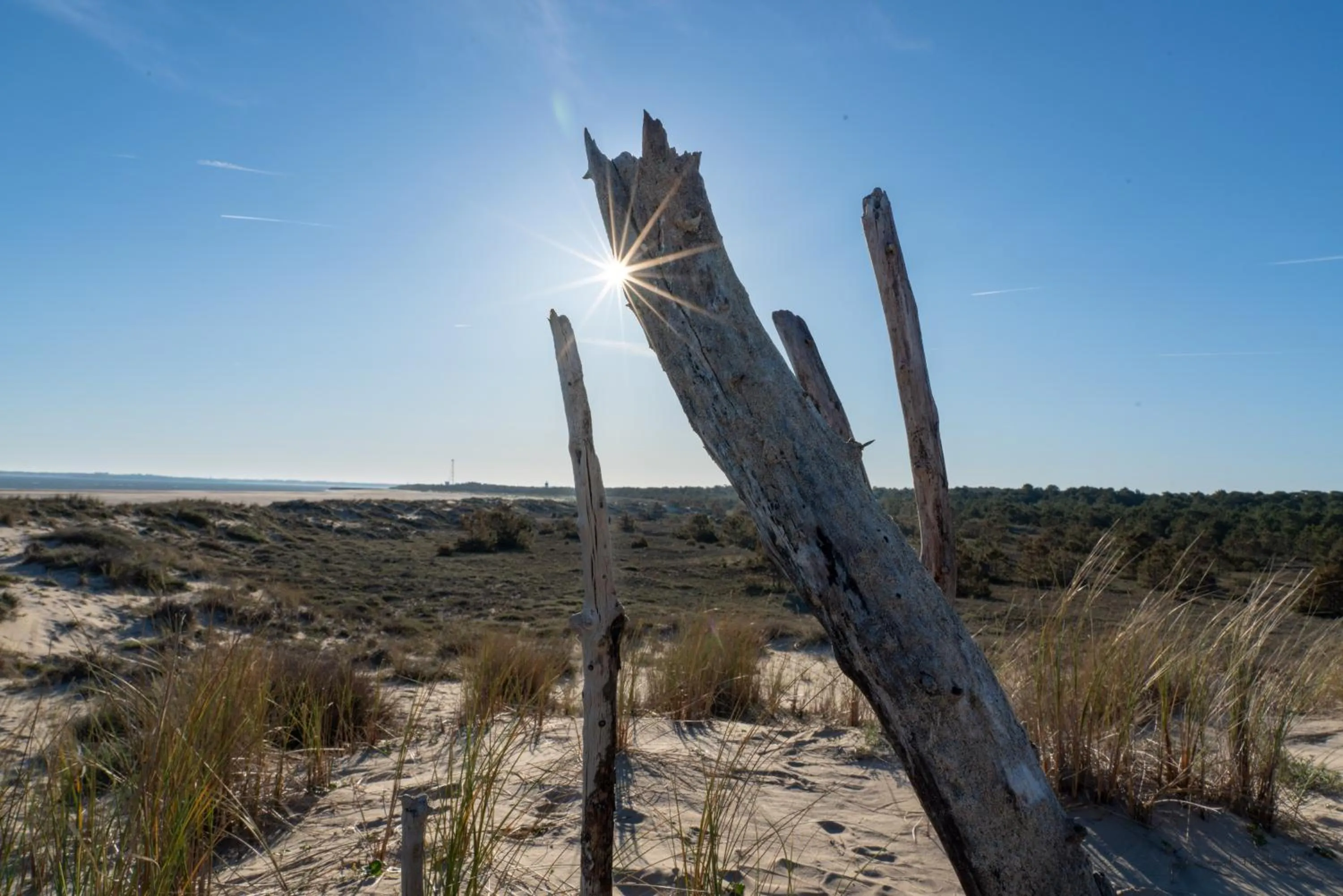Activities in Résidence les Alcyons