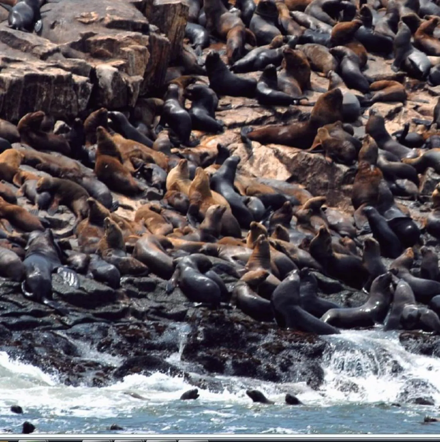 Entertainment in Kangaroo Wasi Airport Bed & Breakfast