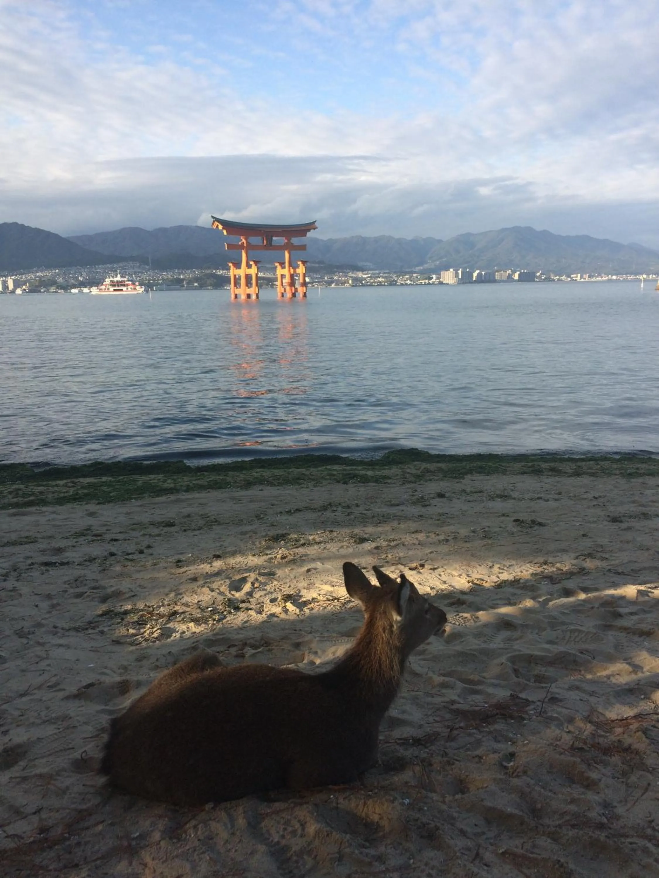 Wholeearth Ryokan Hiroshima