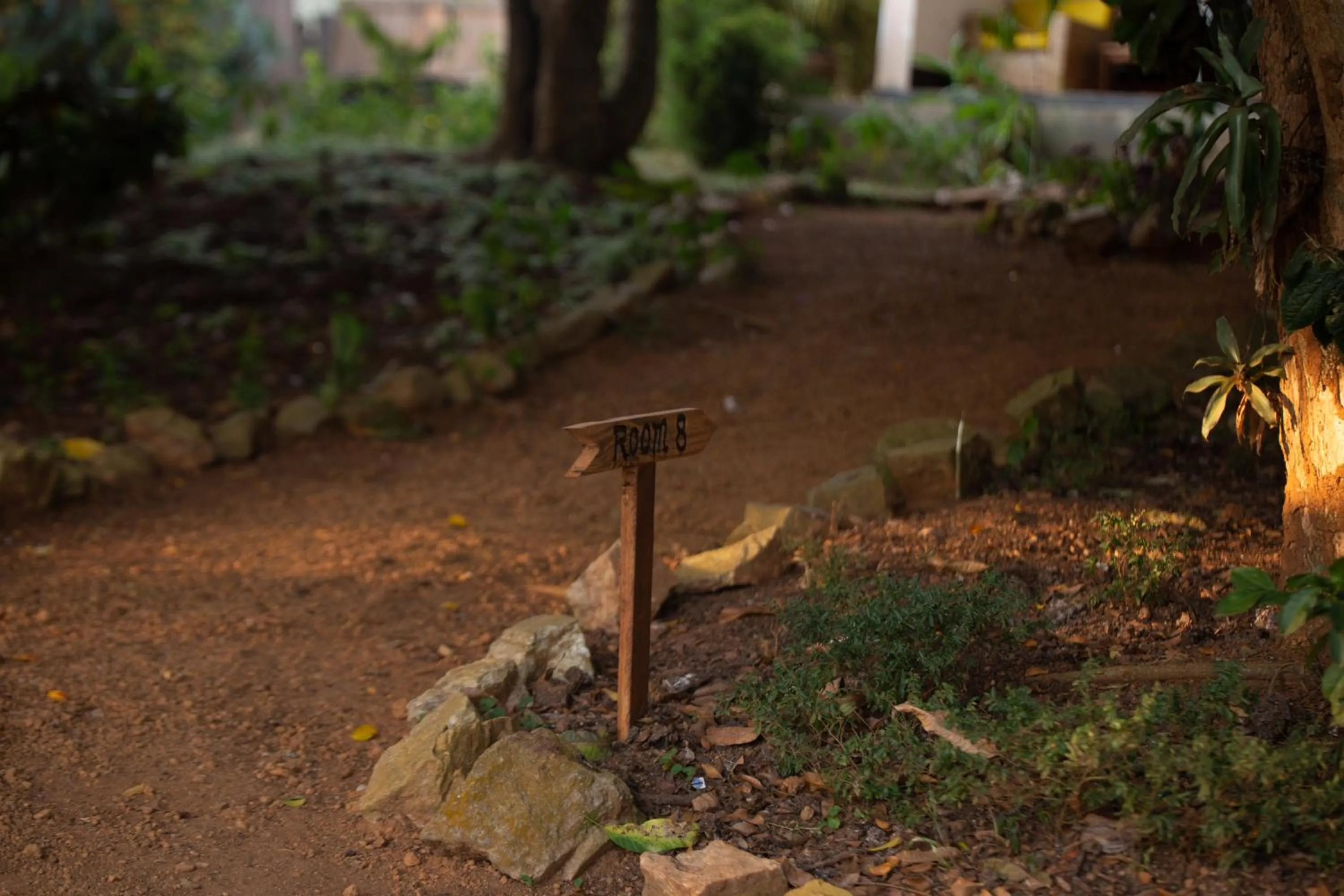 Garden in ViaVia Entebbe
