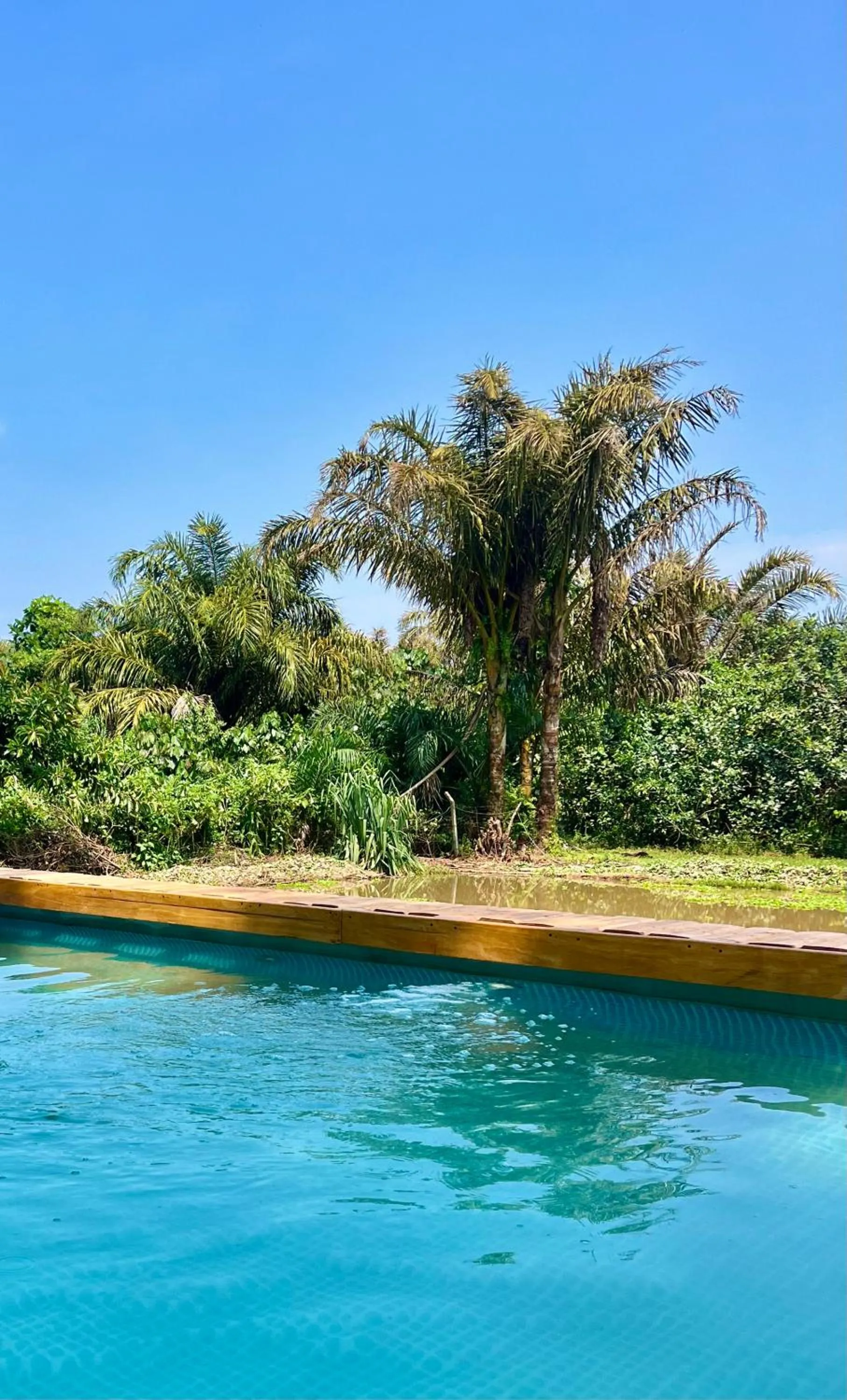 Swimming pool in ViaVia Entebbe