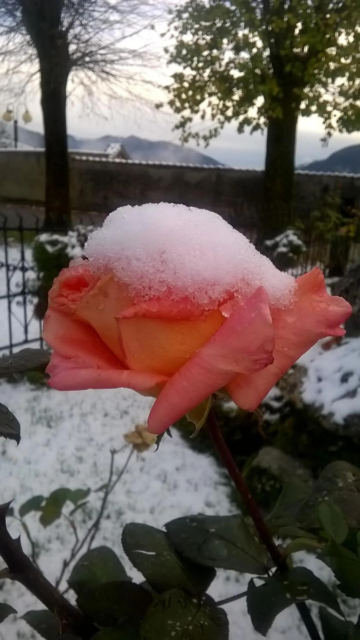 Winter in Casa Torre