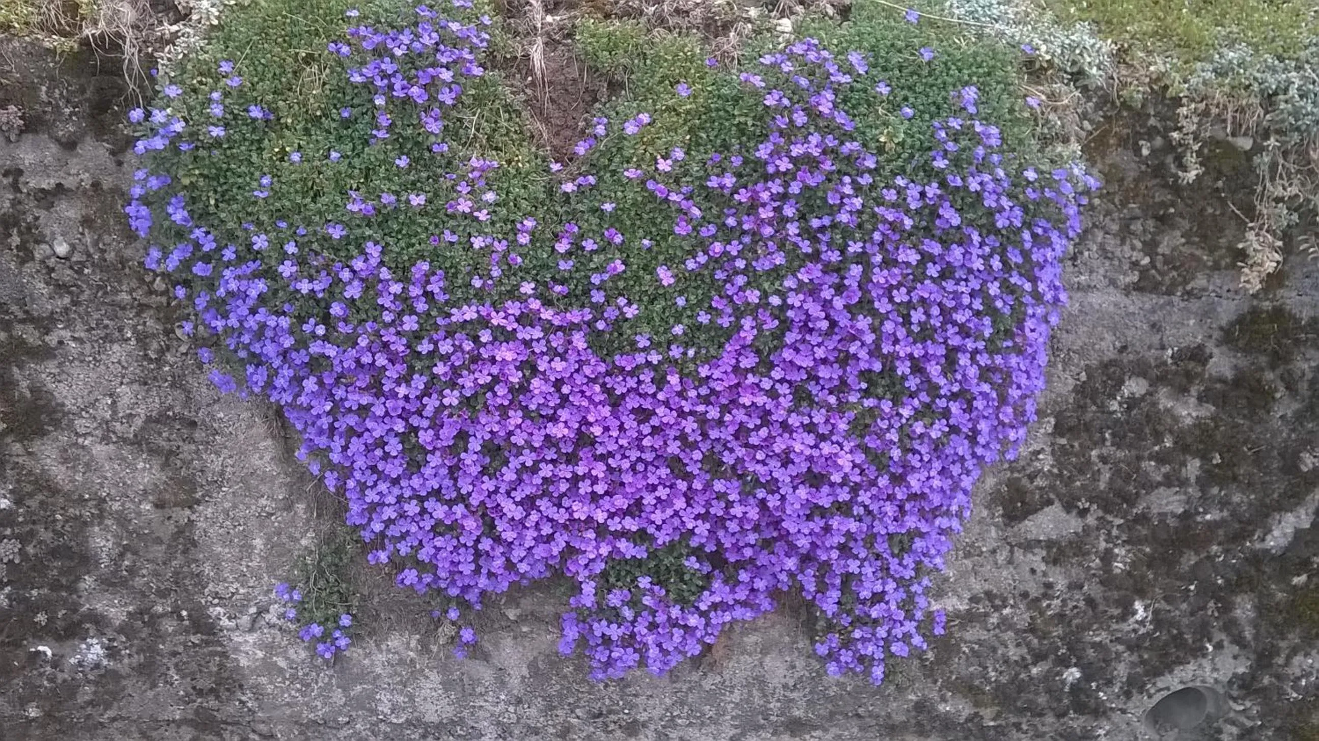 On site in Casa Torre