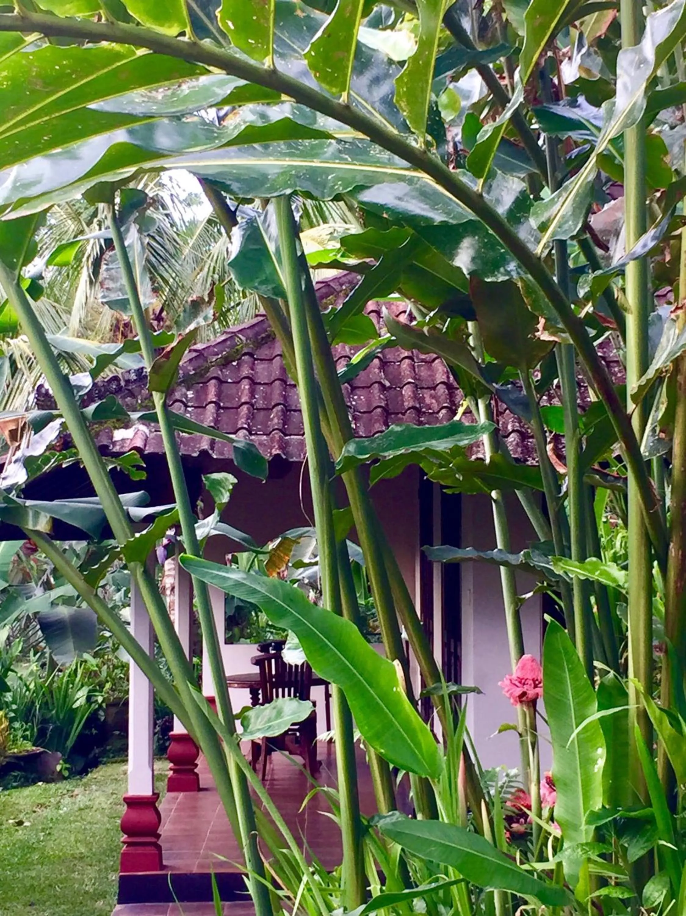 Bali Mountain Retreat