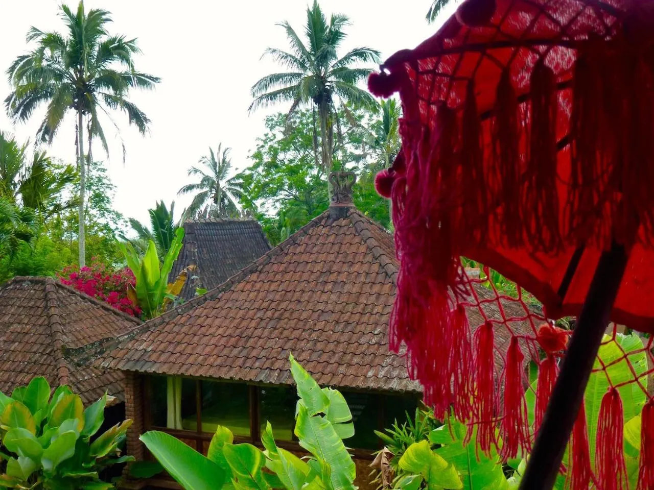 Bird's eye view in Bali Mountain Retreat