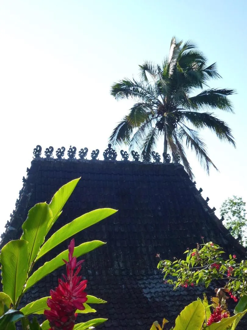 Bali Mountain Retreat