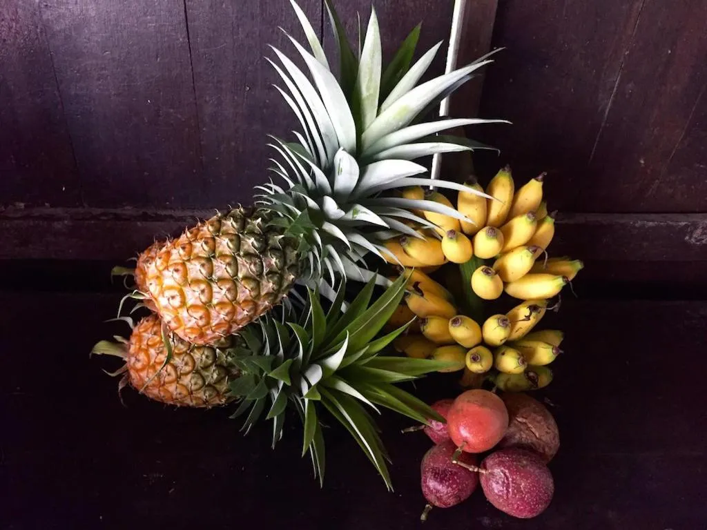 Bali Mountain Retreat