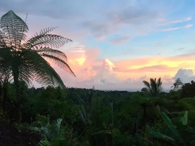 View (from property/room) in Bali Mountain Retreat