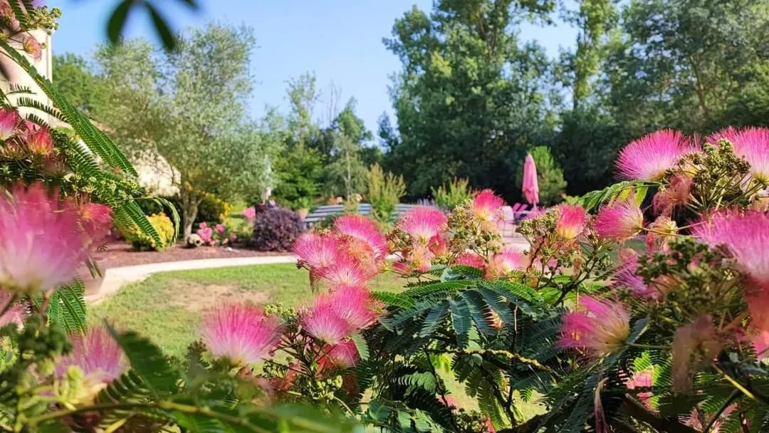 Garden in Au Clos Des Templiers