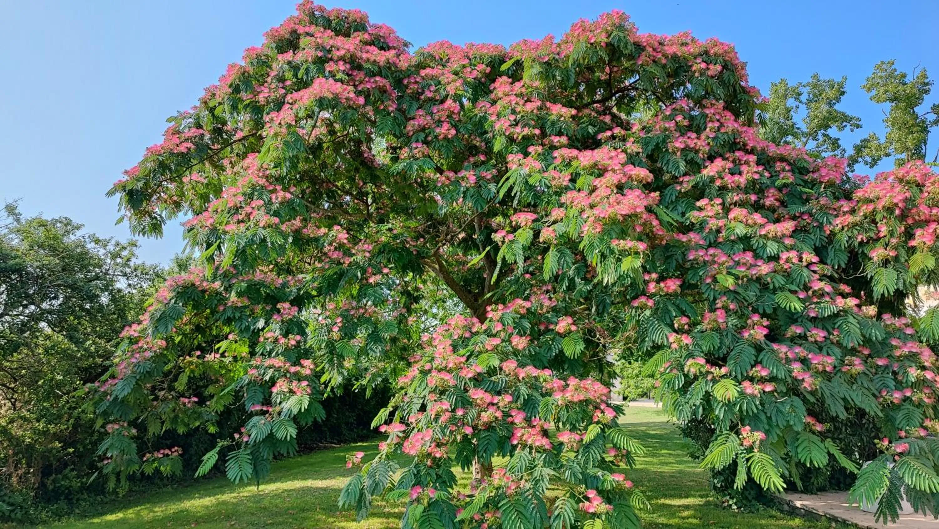 Garden in Au Clos Des Templiers