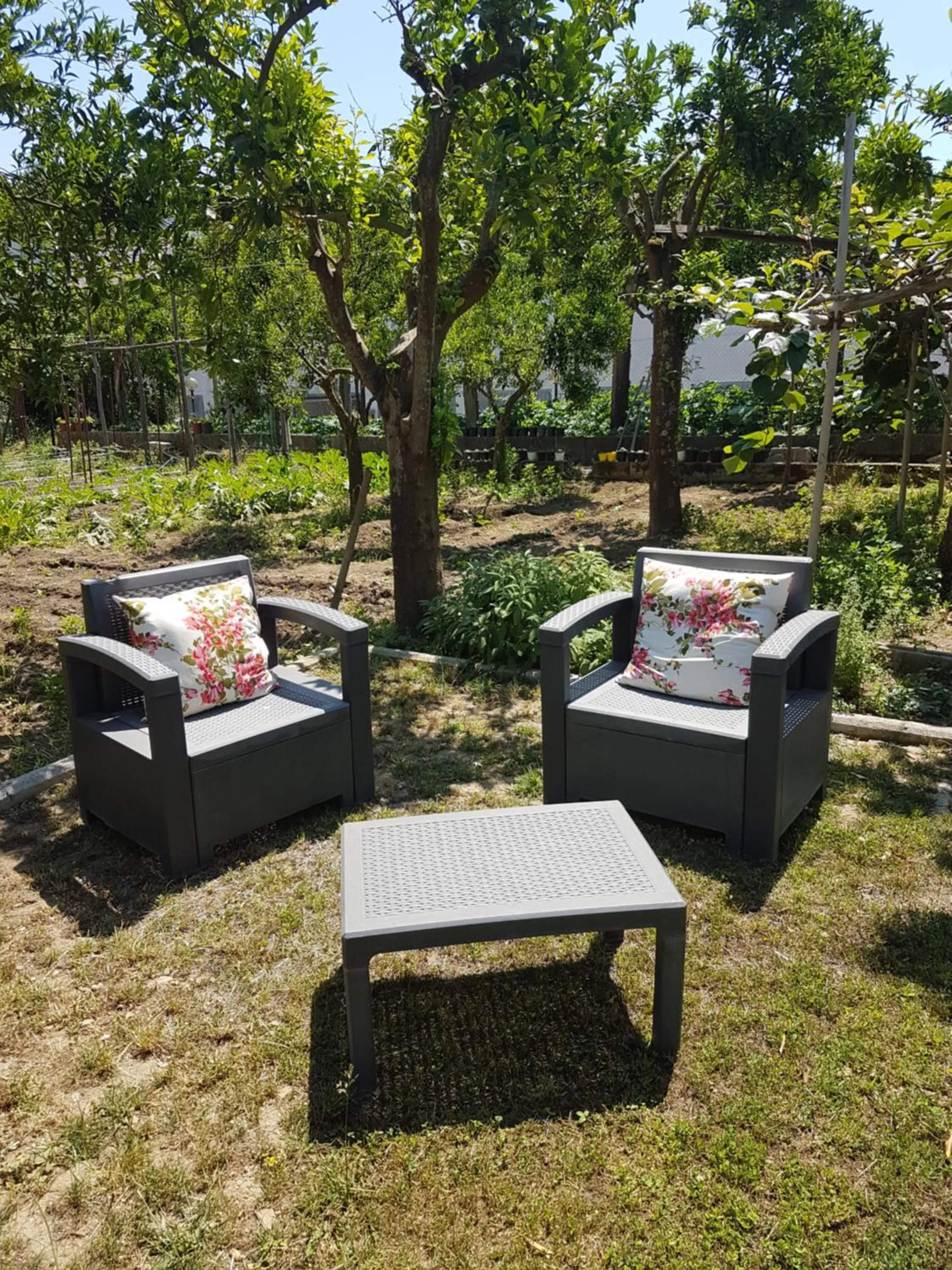 Garden in Casa Aristide