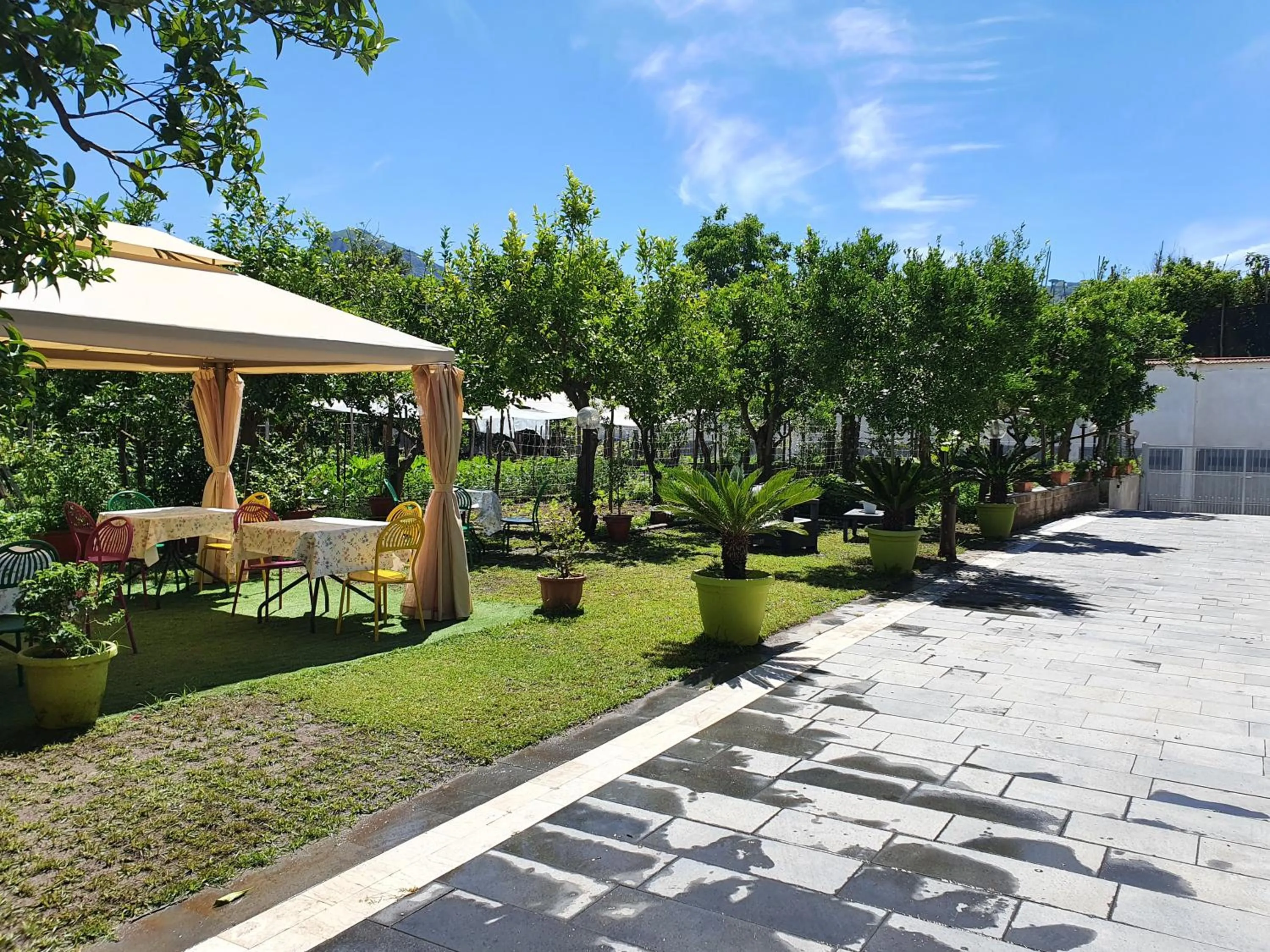 Garden view in Casa Aristide