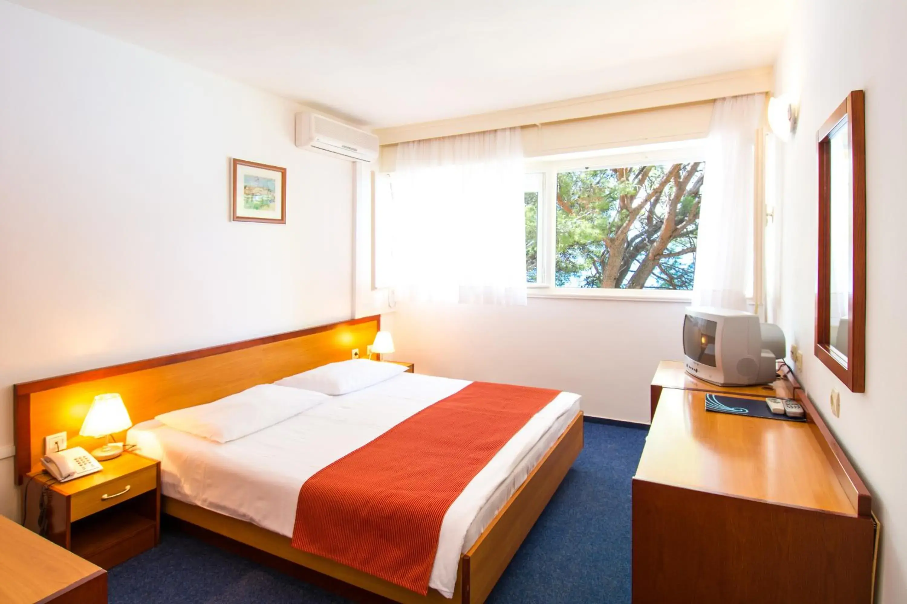 Standard Double Room in Sagitta All inclusive light Standard Double Room in Sagitta All inclusive light