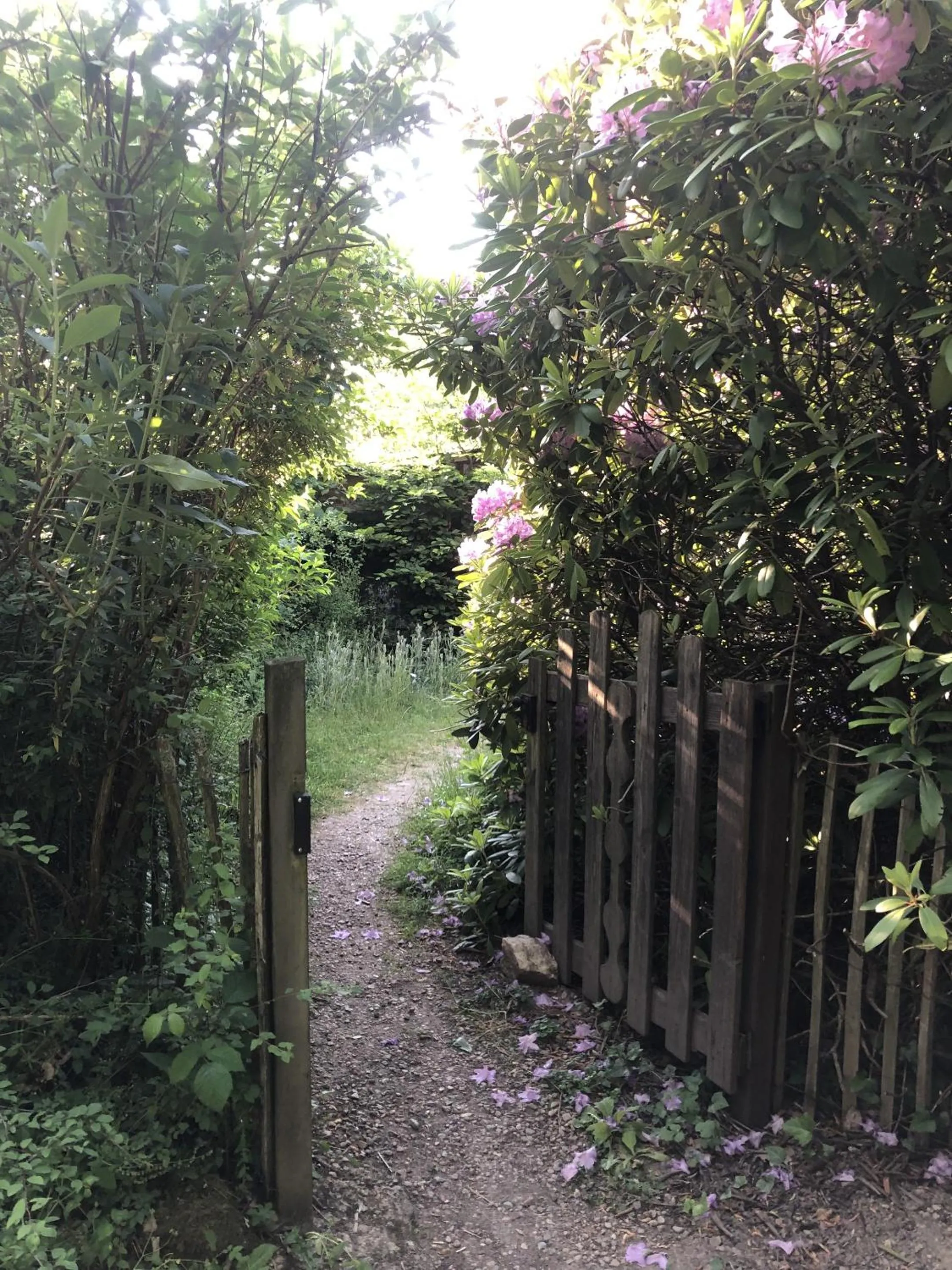 Other in Gîte de la Colombière