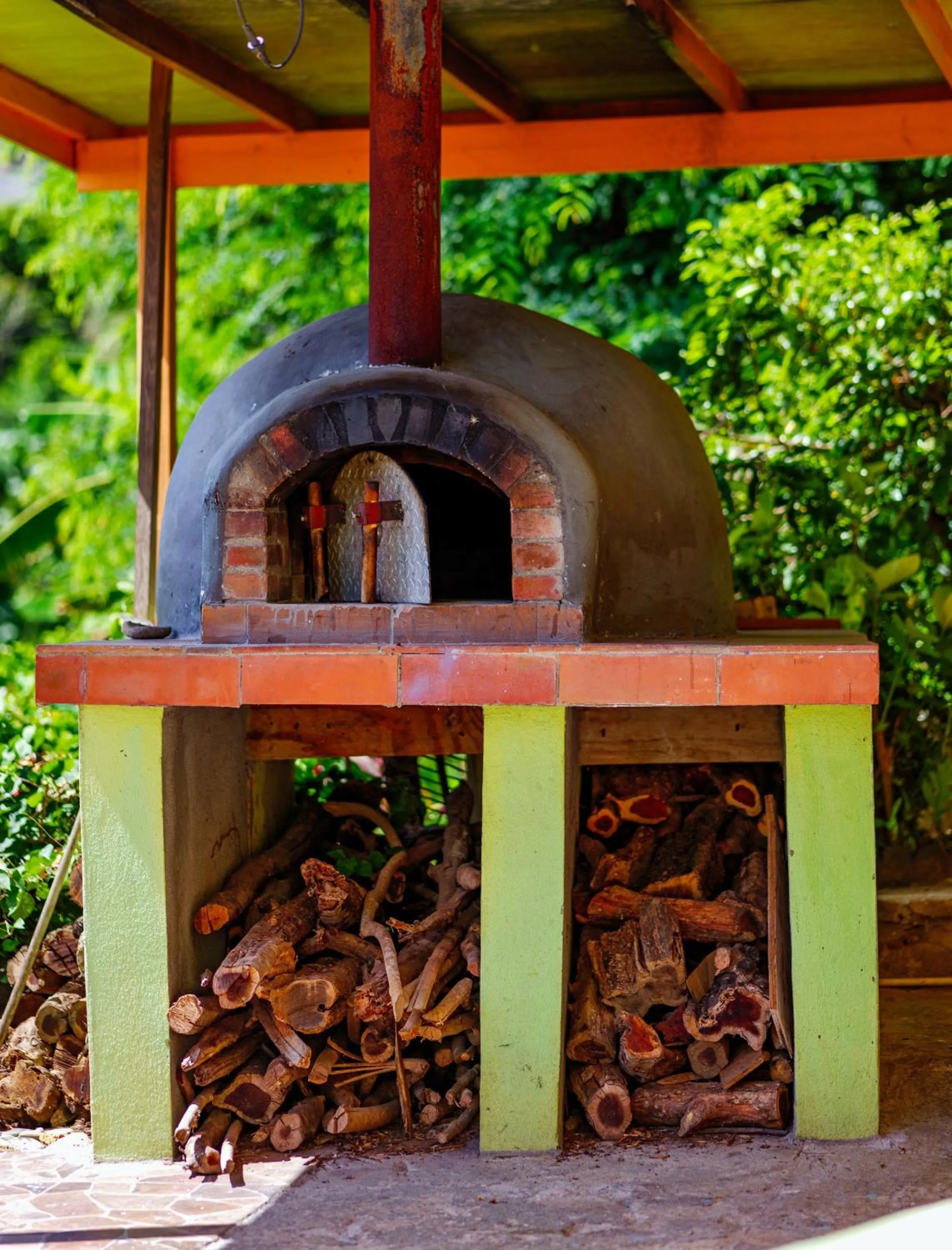 Tropical Paradise View