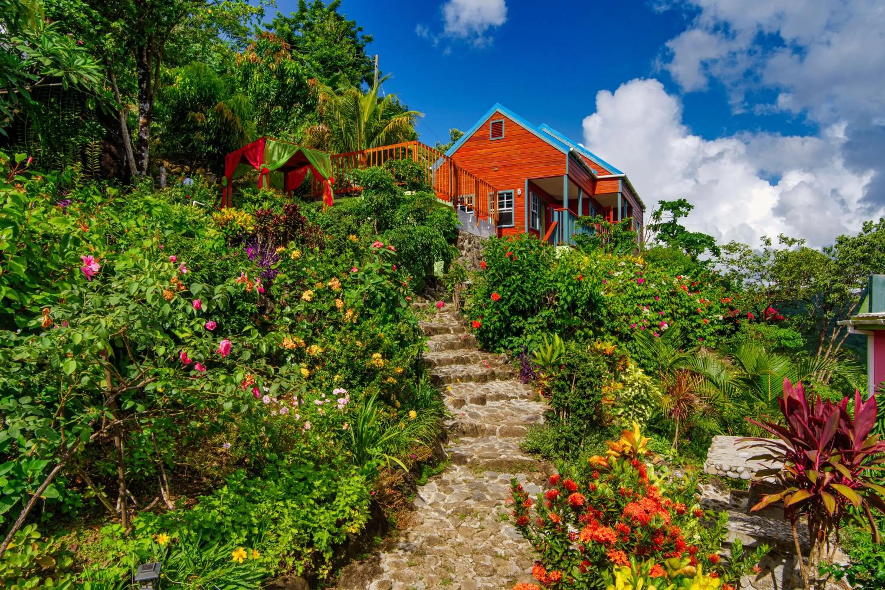 Garden view in Tropical Paradise View